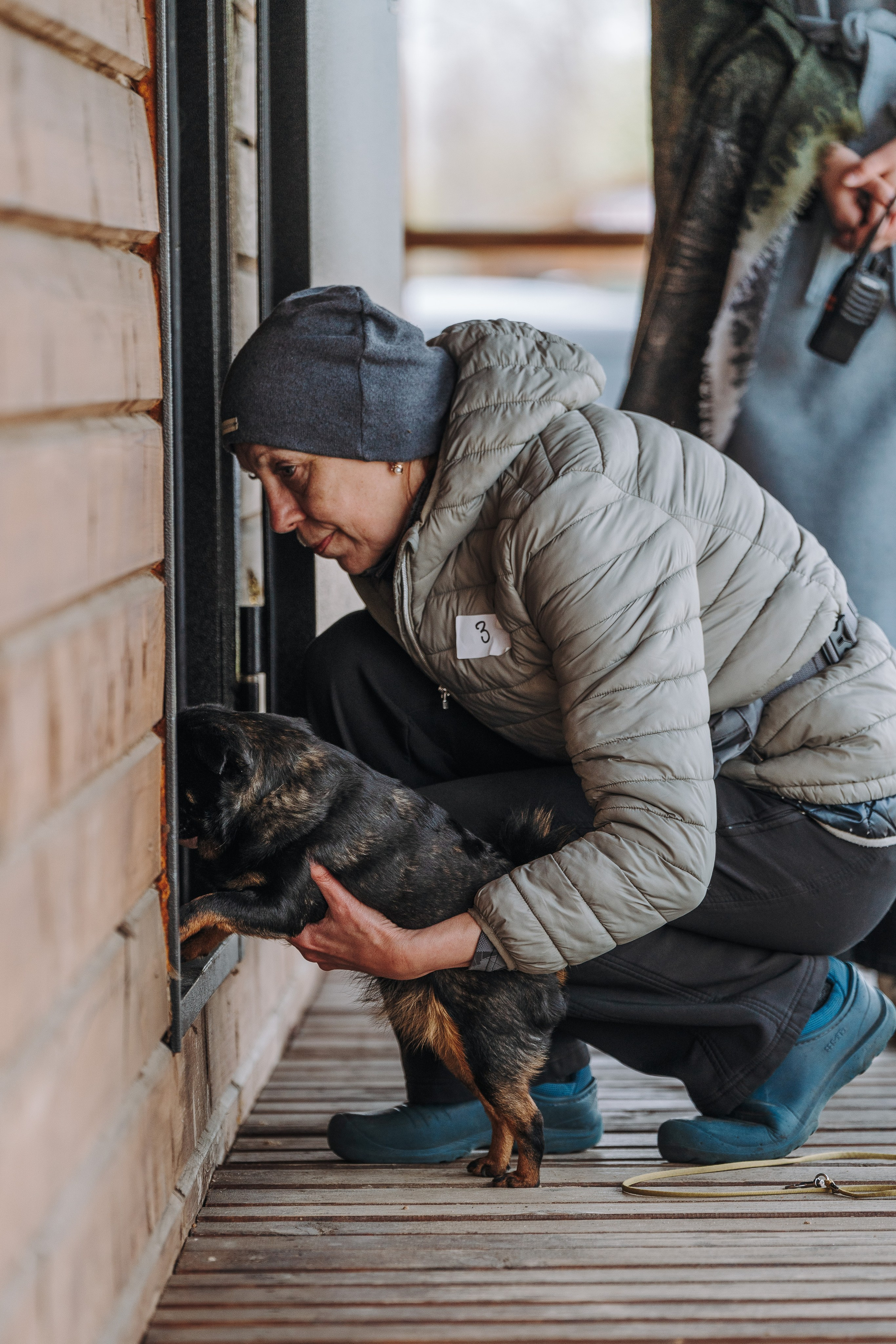 Соревнования по ноузворку в Лосево. Фотограф анималист в Спб недорого Олеся Майорова