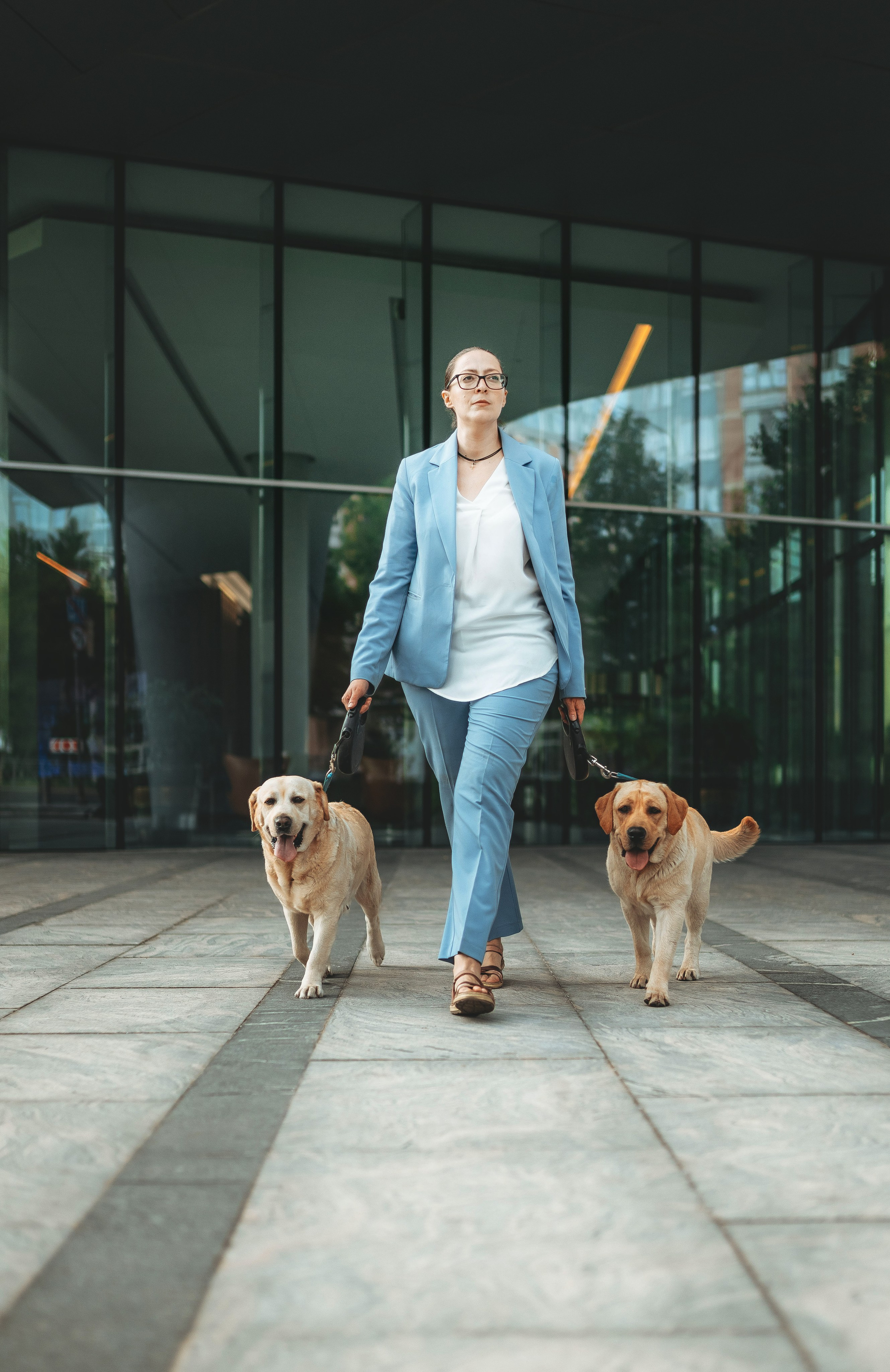 Лабрадоры питомника IRISLAV. Фотограф анималист в Спб недорого Олеся Майорова