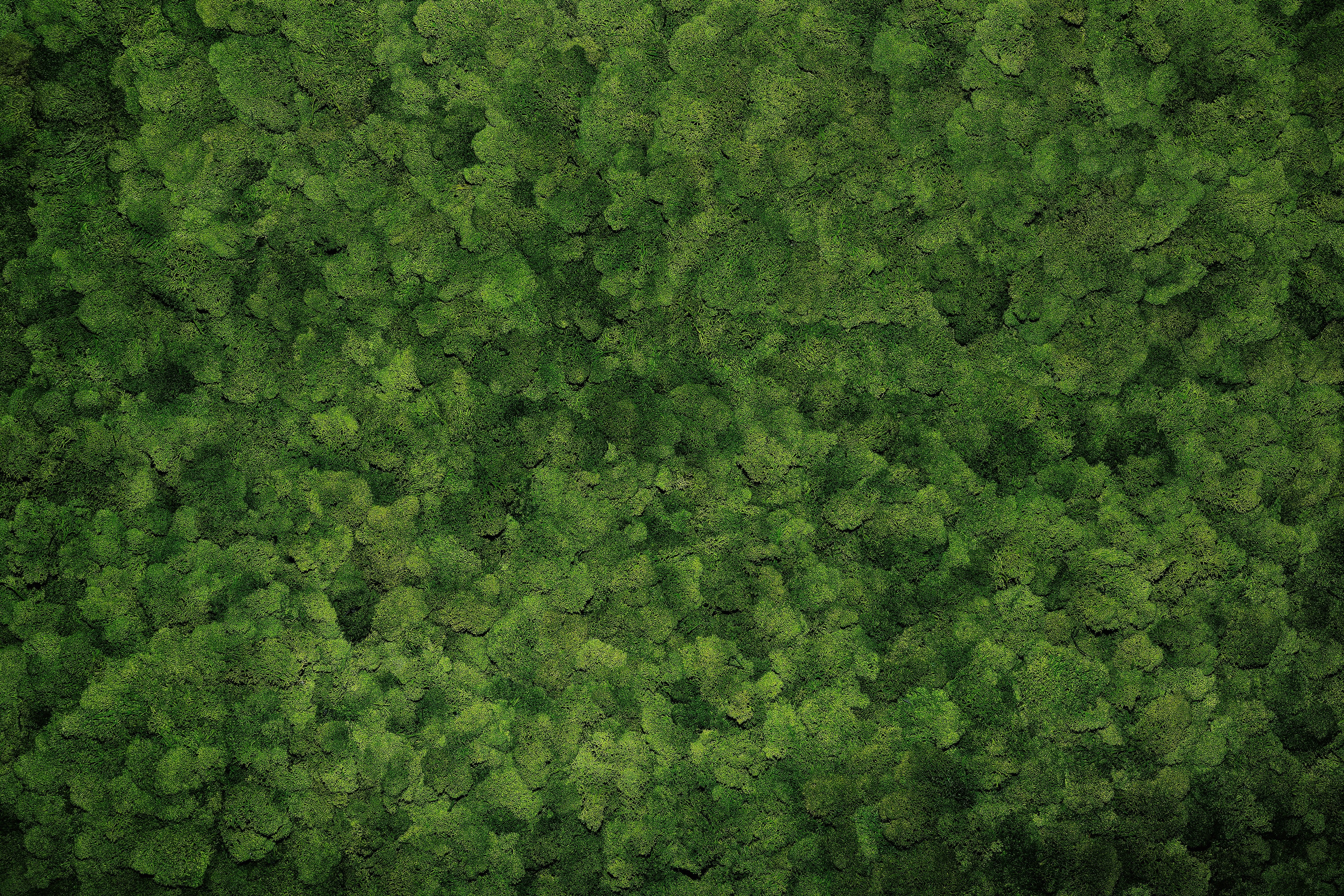 Барные коктейли. Фотограф в Санкт-Петербурге Виталий Кедов