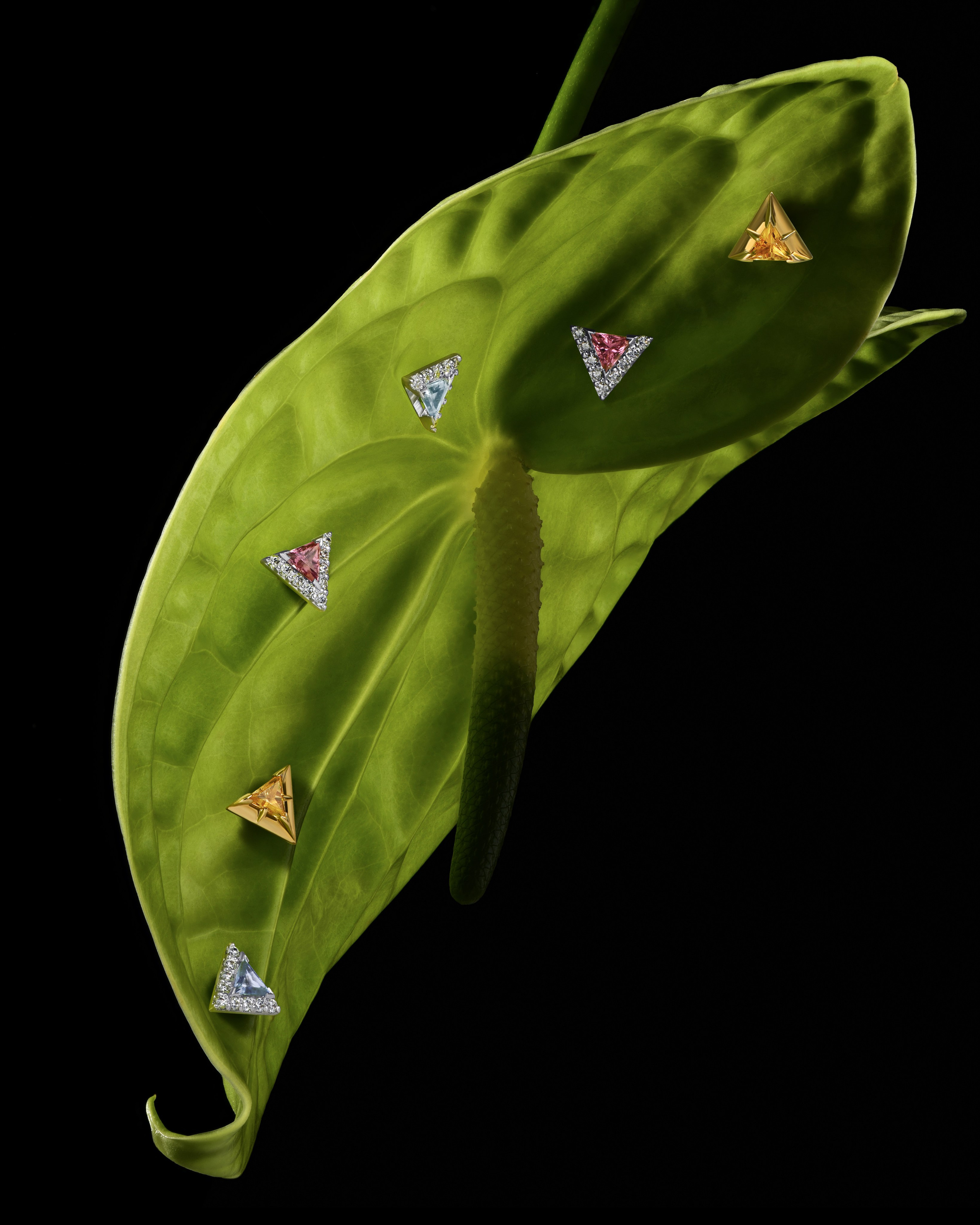 Предметная фотосъемка ювелирных изделий. Ювелирный фотограф