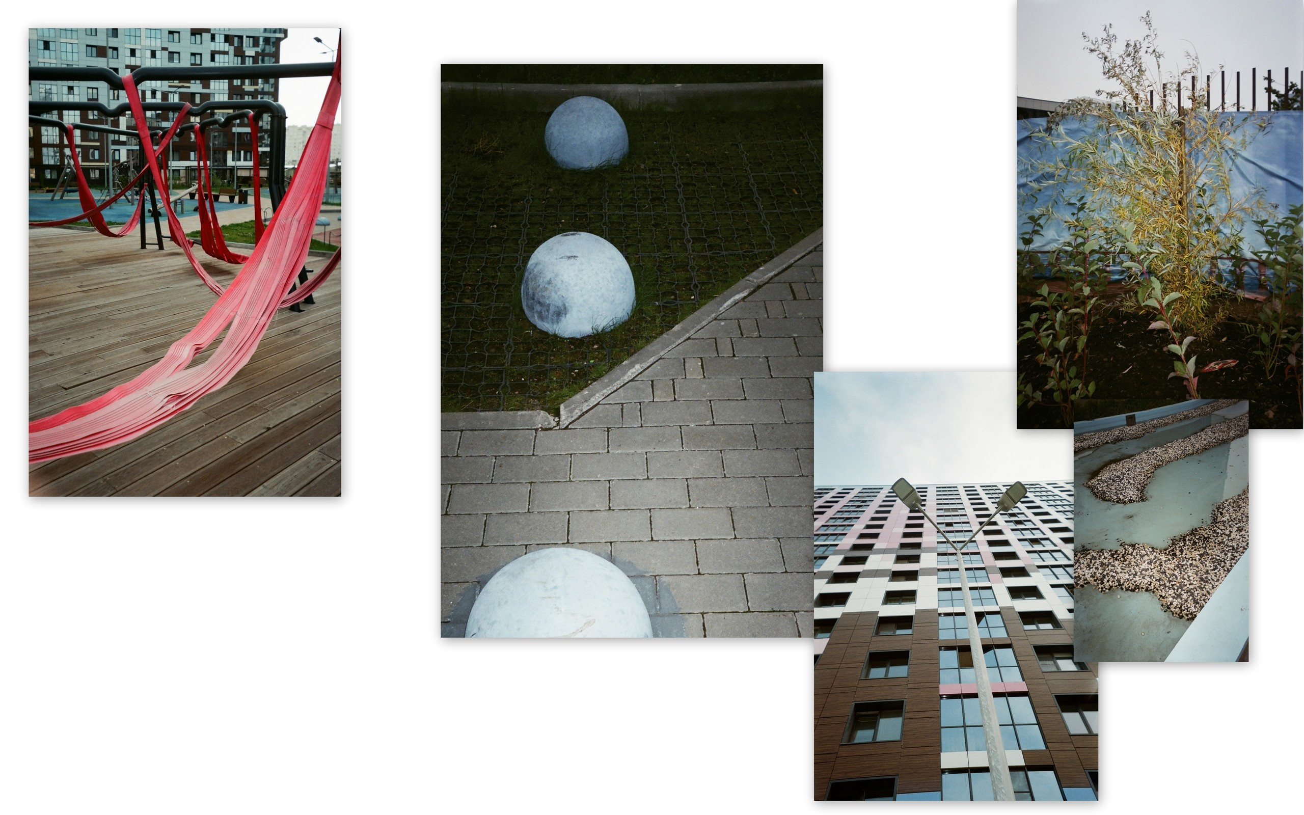 Ника Кравченко персональная выставка