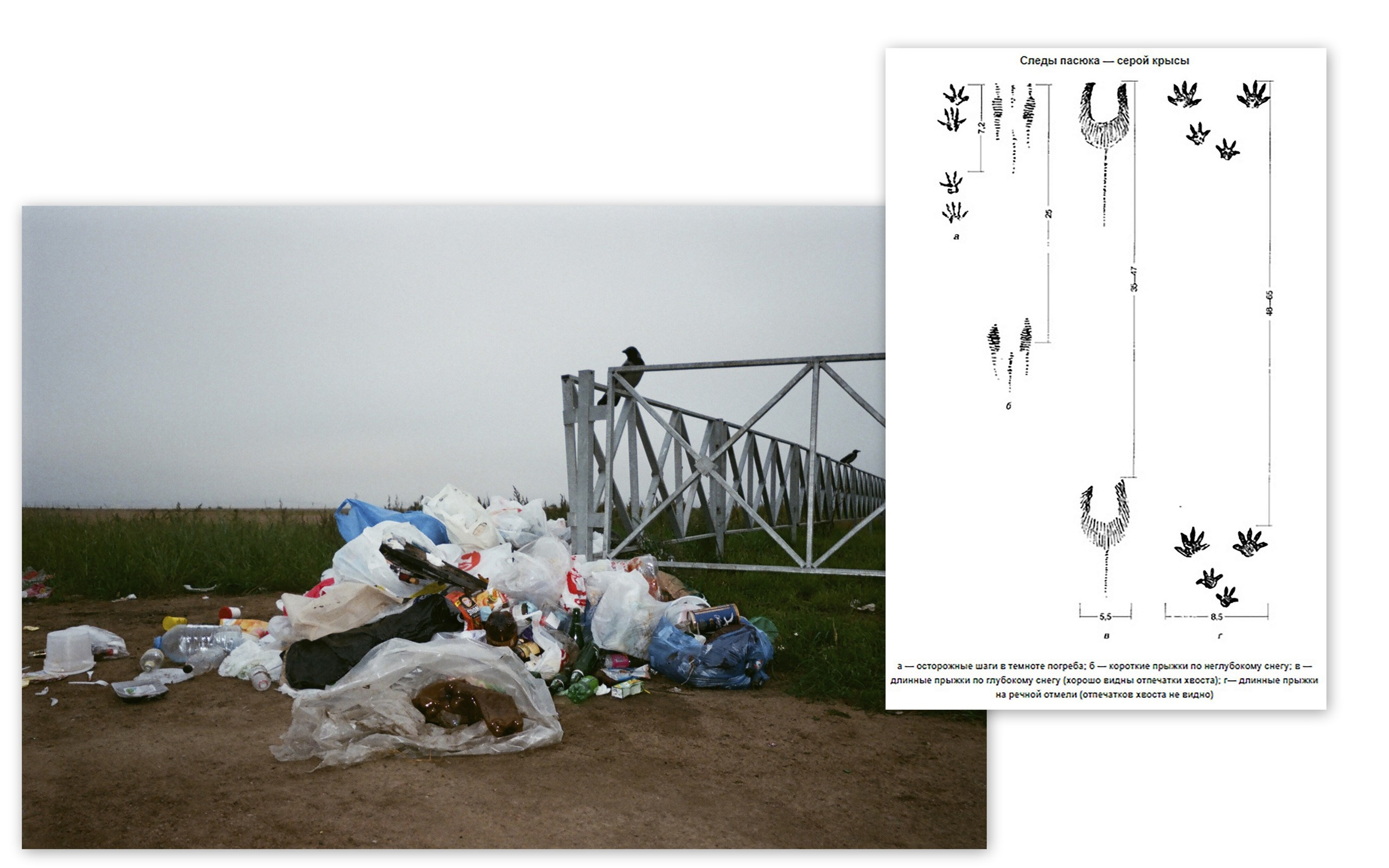 Ника Кравченко персональная выставка