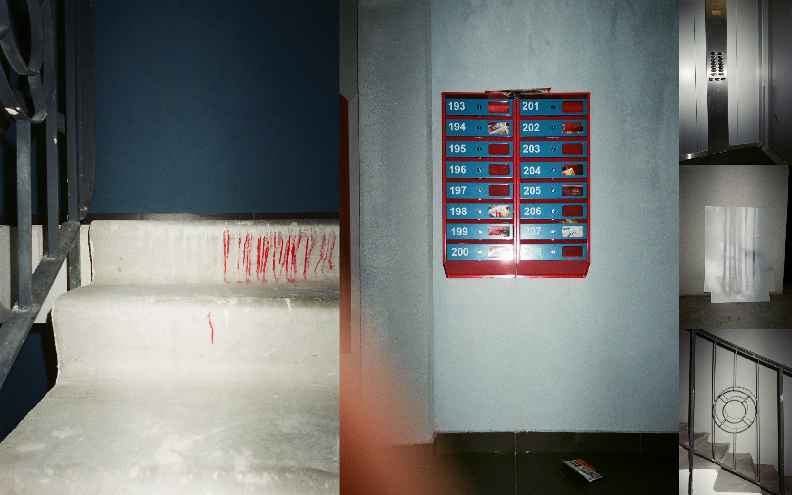 Ника Кравченко персональная выставка