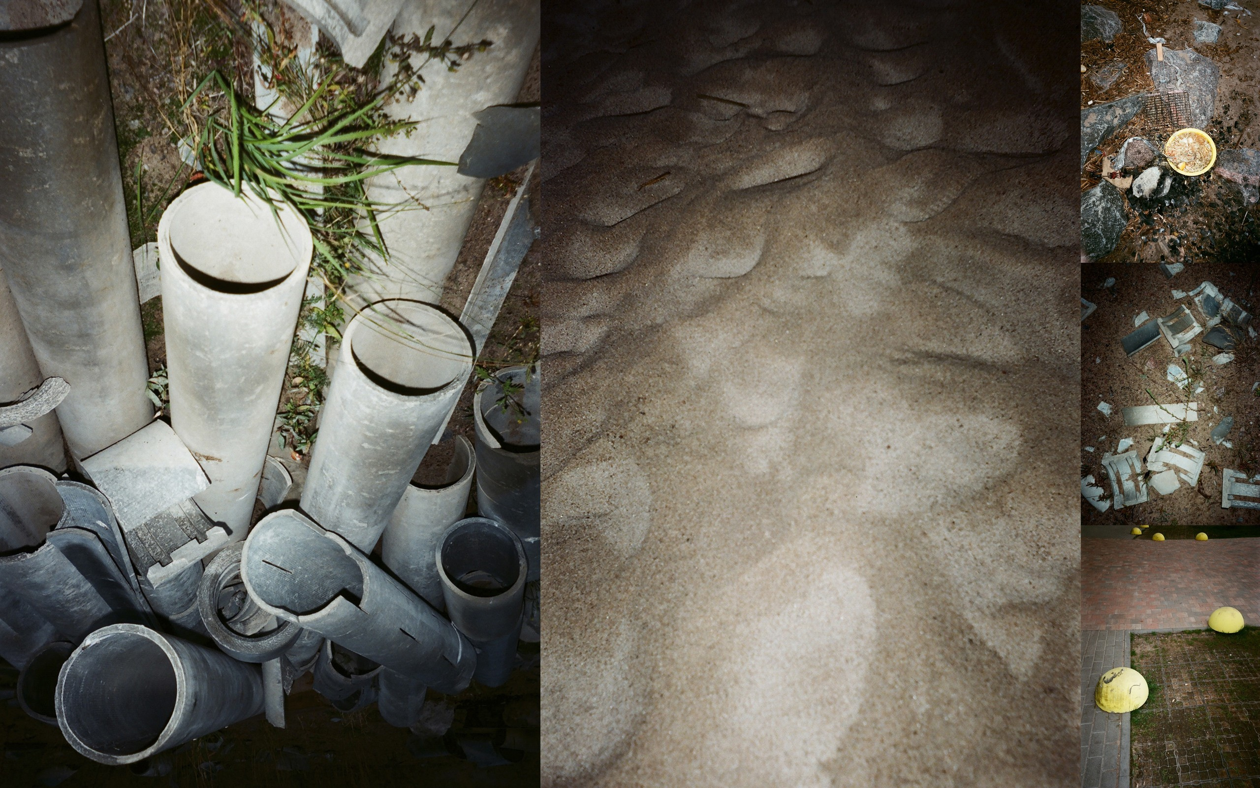 Ника Кравченко персональная выставка