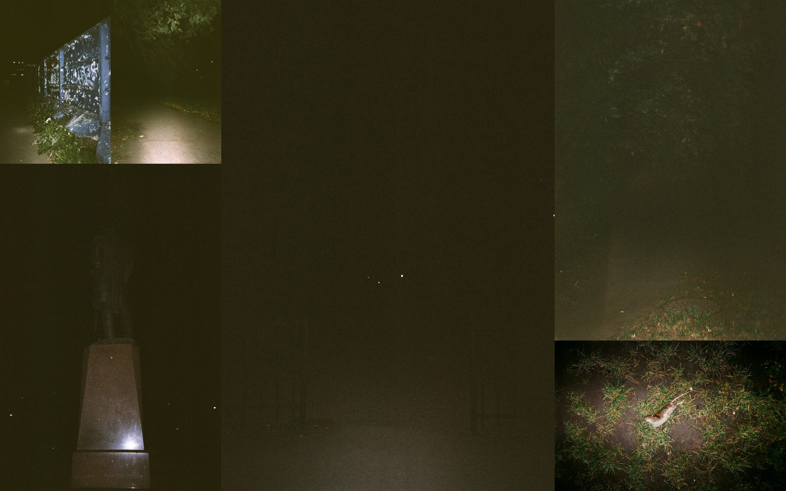 Ника Кравченко персональная выставка