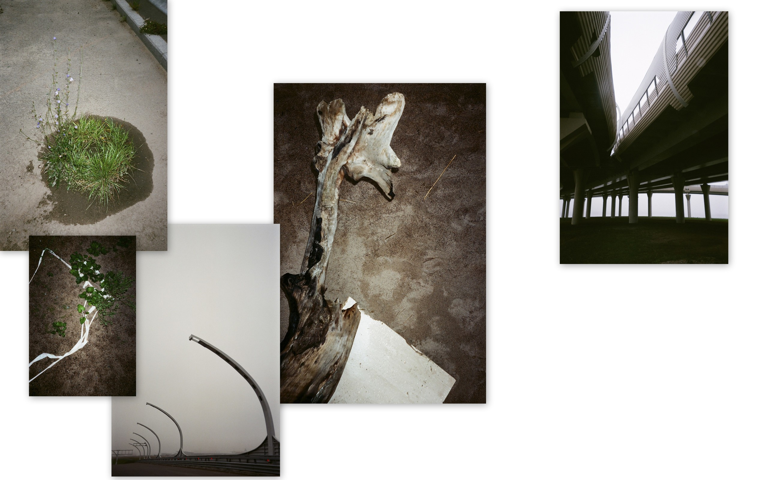 Ника Кравченко персональная выставка