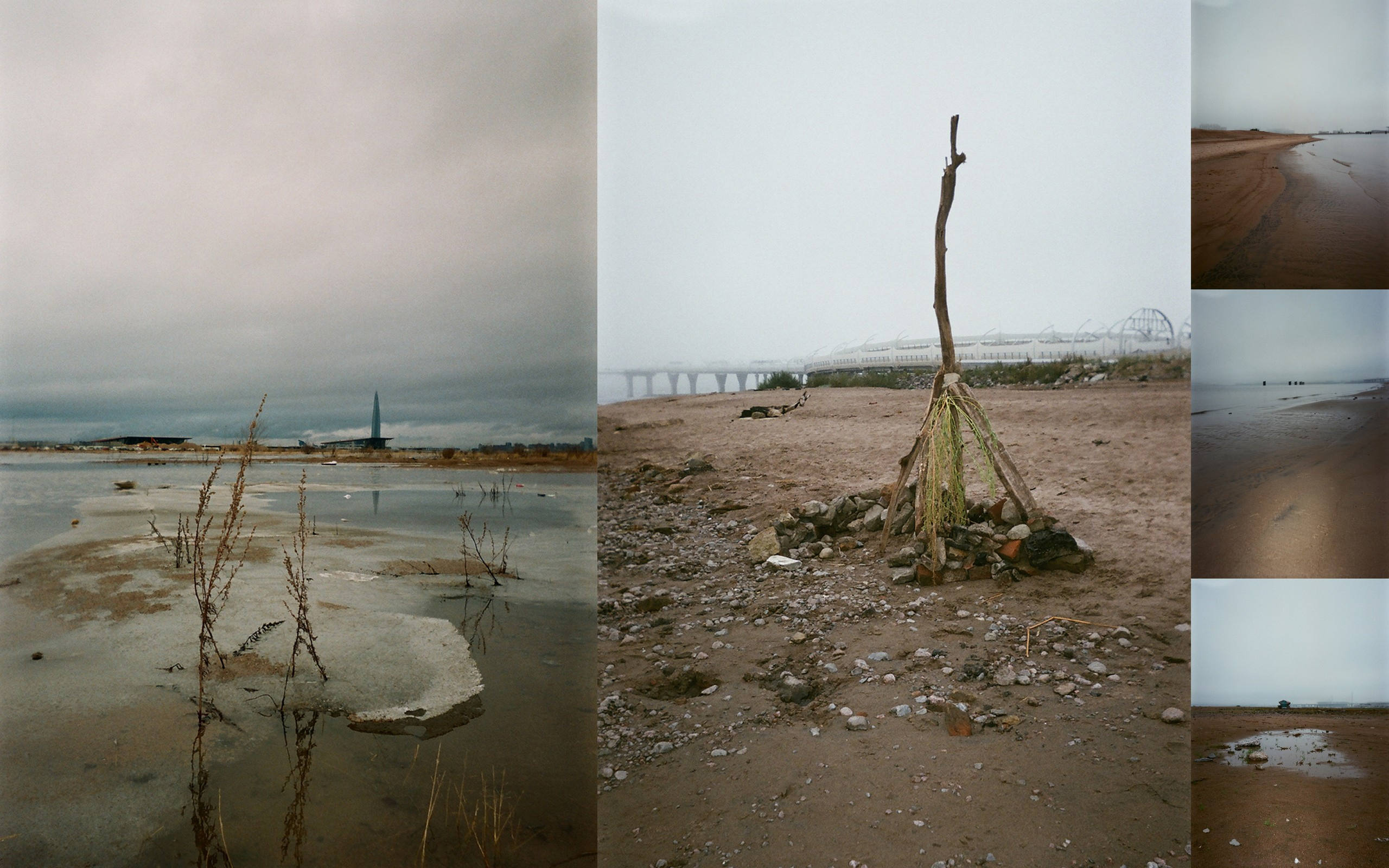 Ника Кравченко персональная выставка