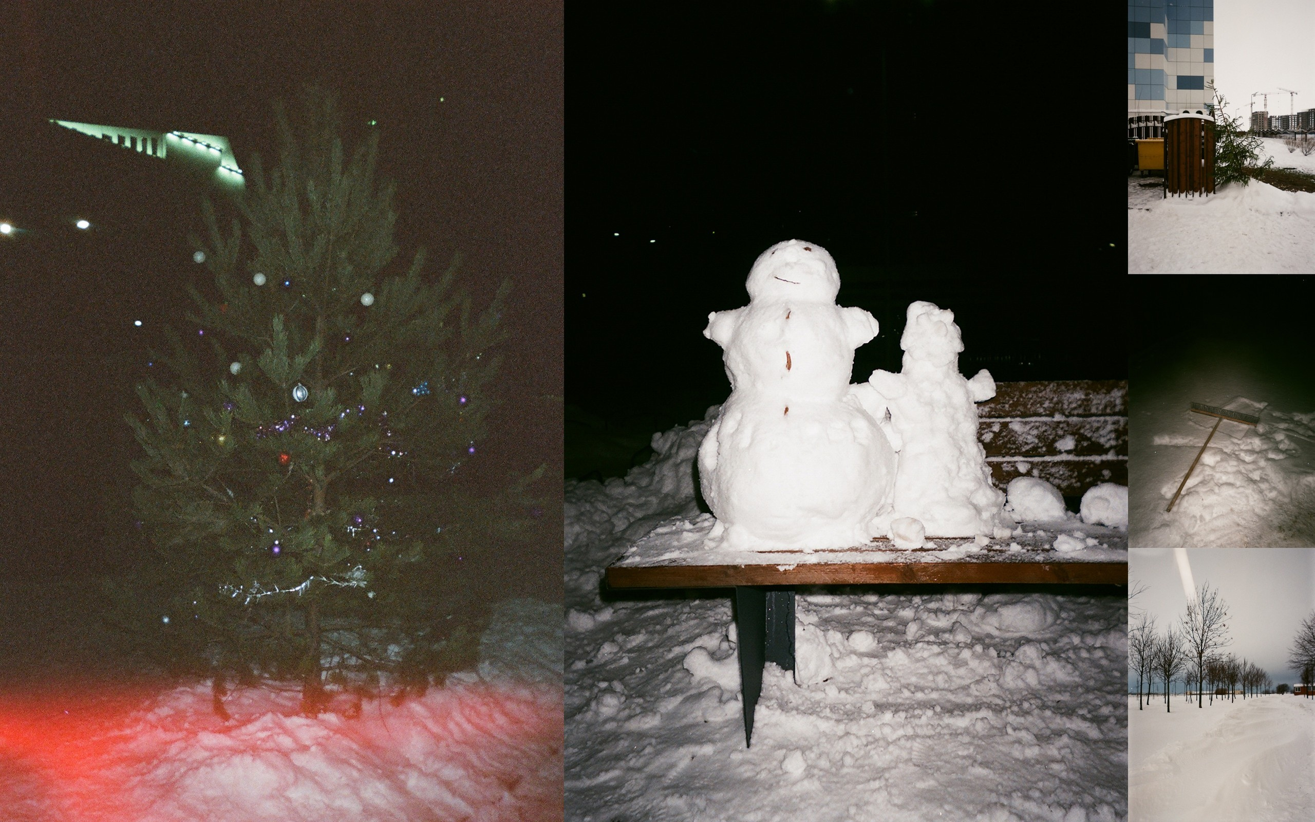 Ника Кравченко персональная выставка