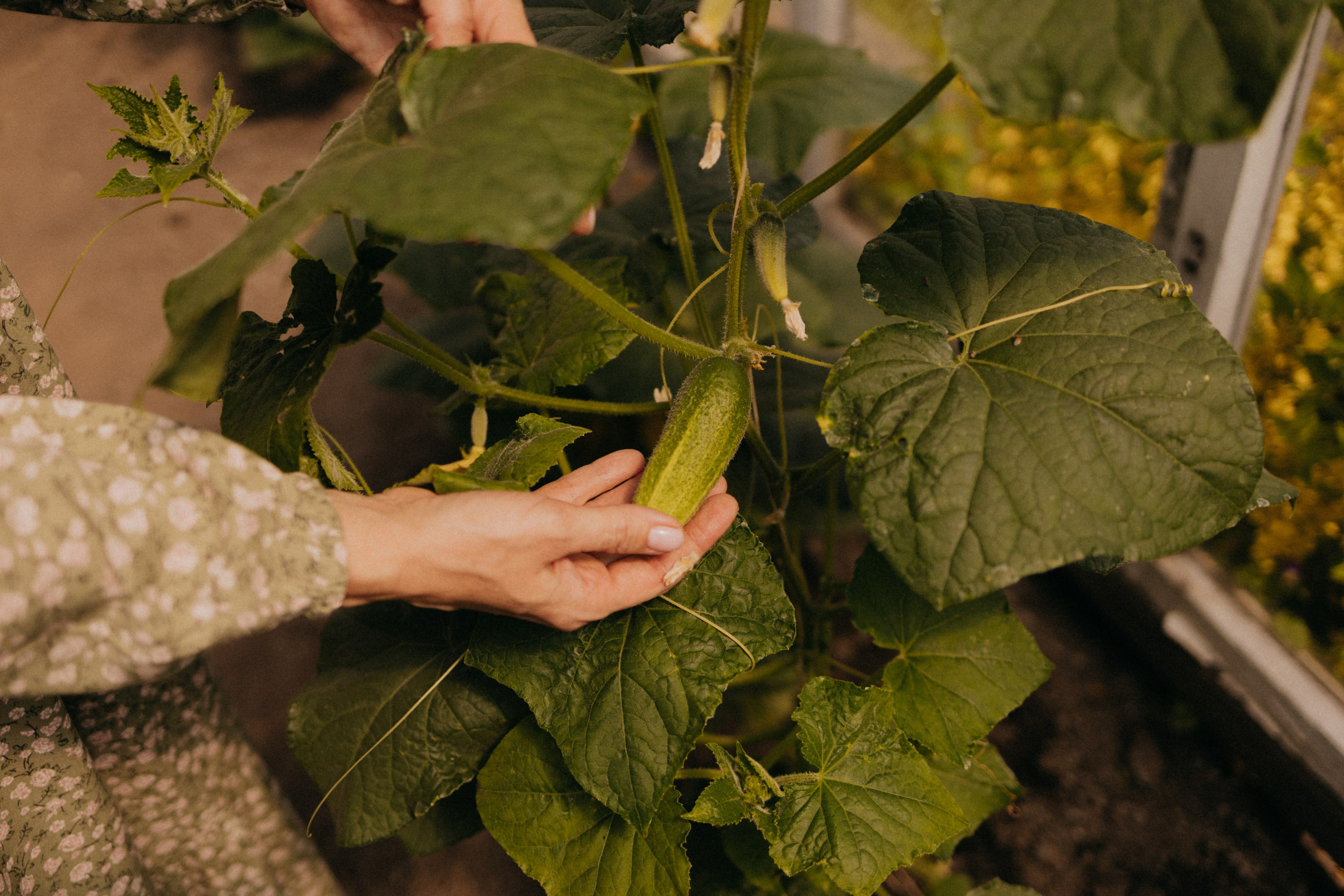 Когда день рождения летом. Фотограф Настя Леонова