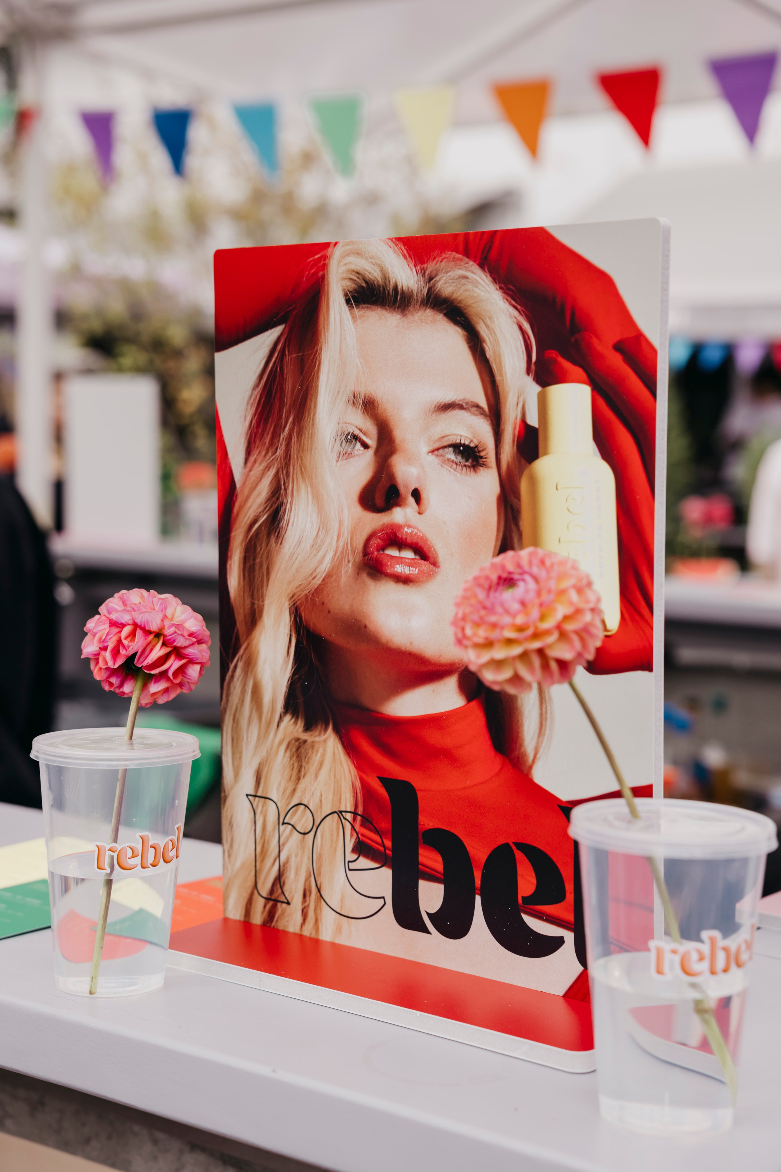 «Rebel» by «Molecule». «Птичка на проводе»: информационный портал в Москве