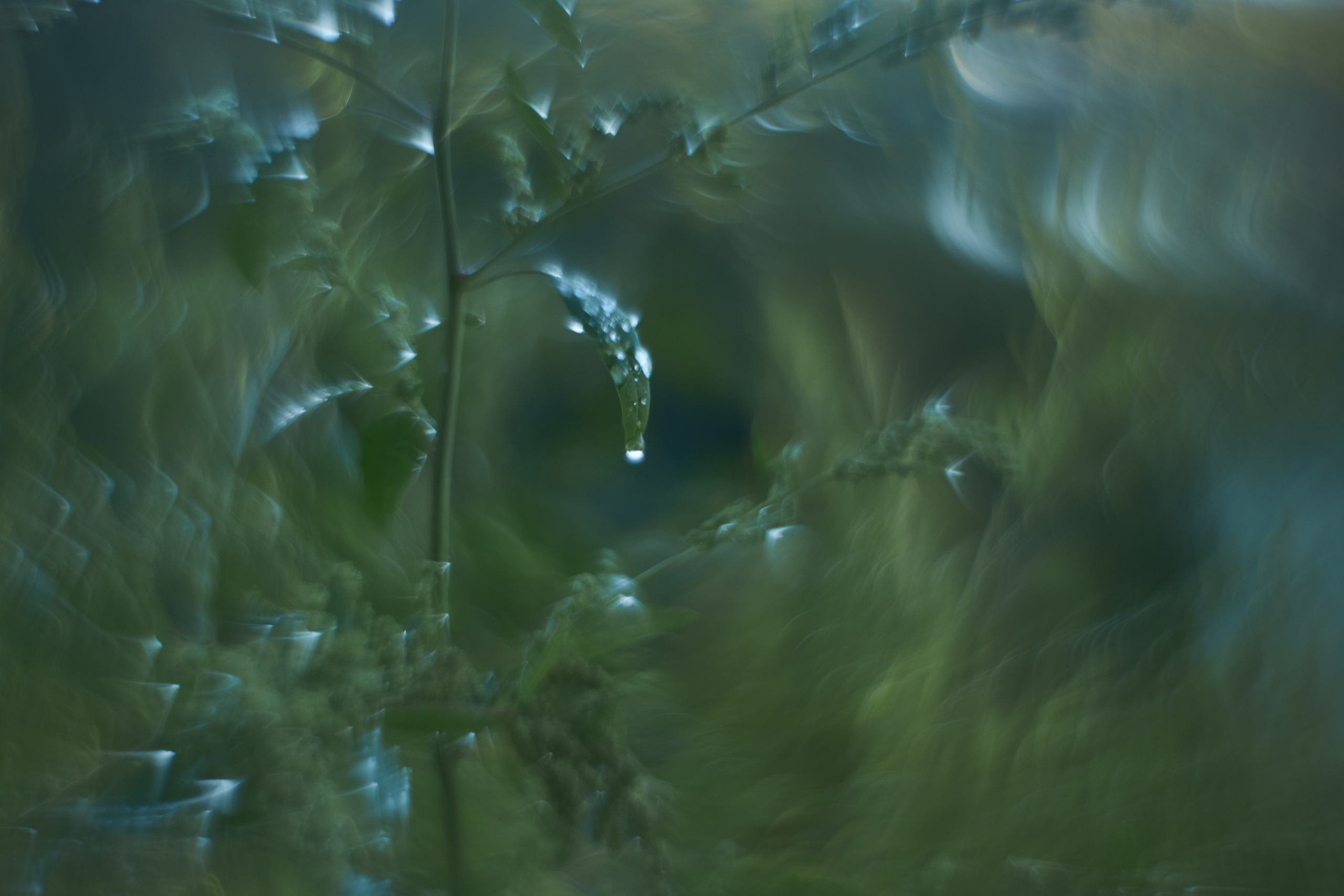 «Незримые Миры». Арт-фотограф во Владивостоке Дмитрий Осипчук