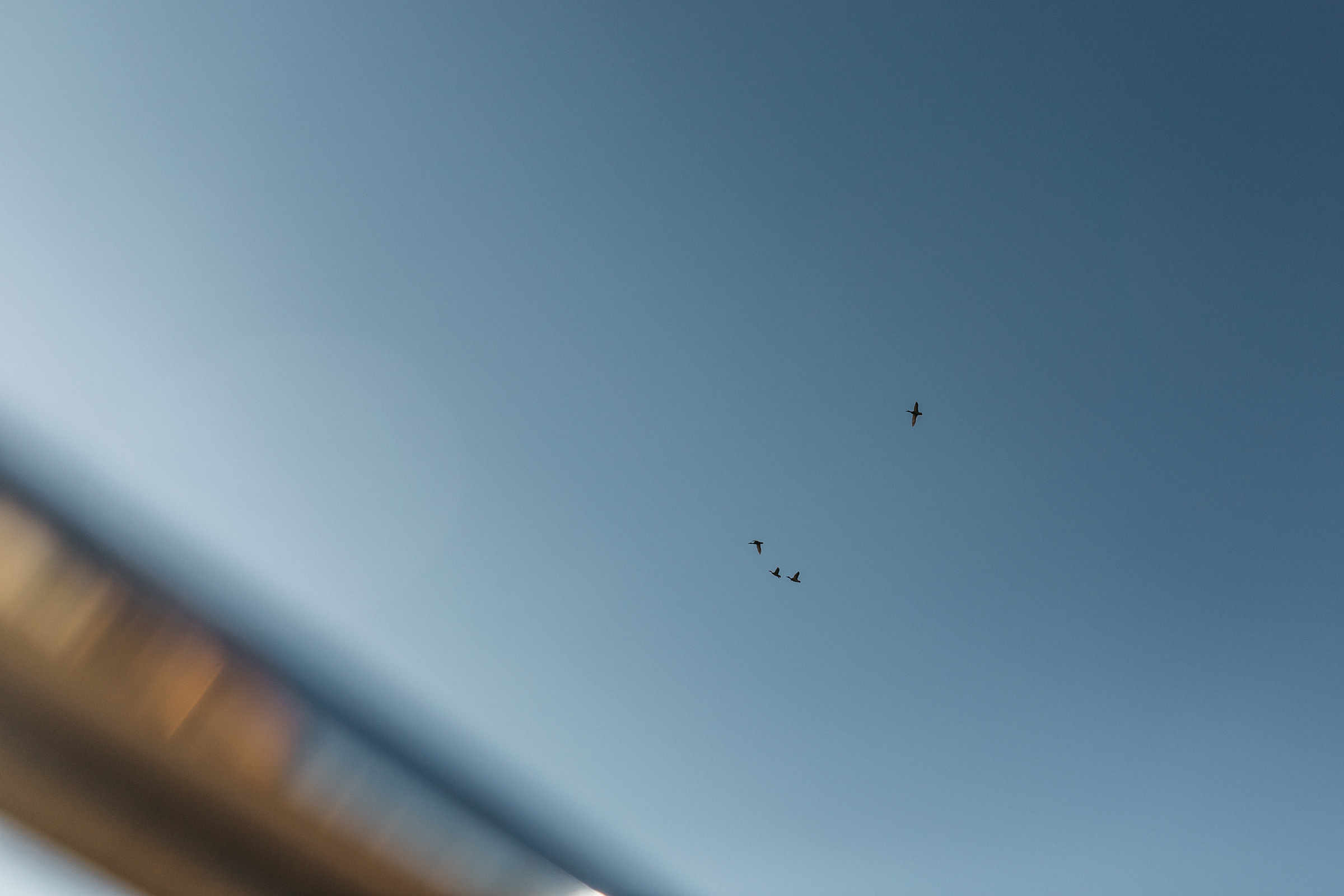 Дмитрий&Светлана