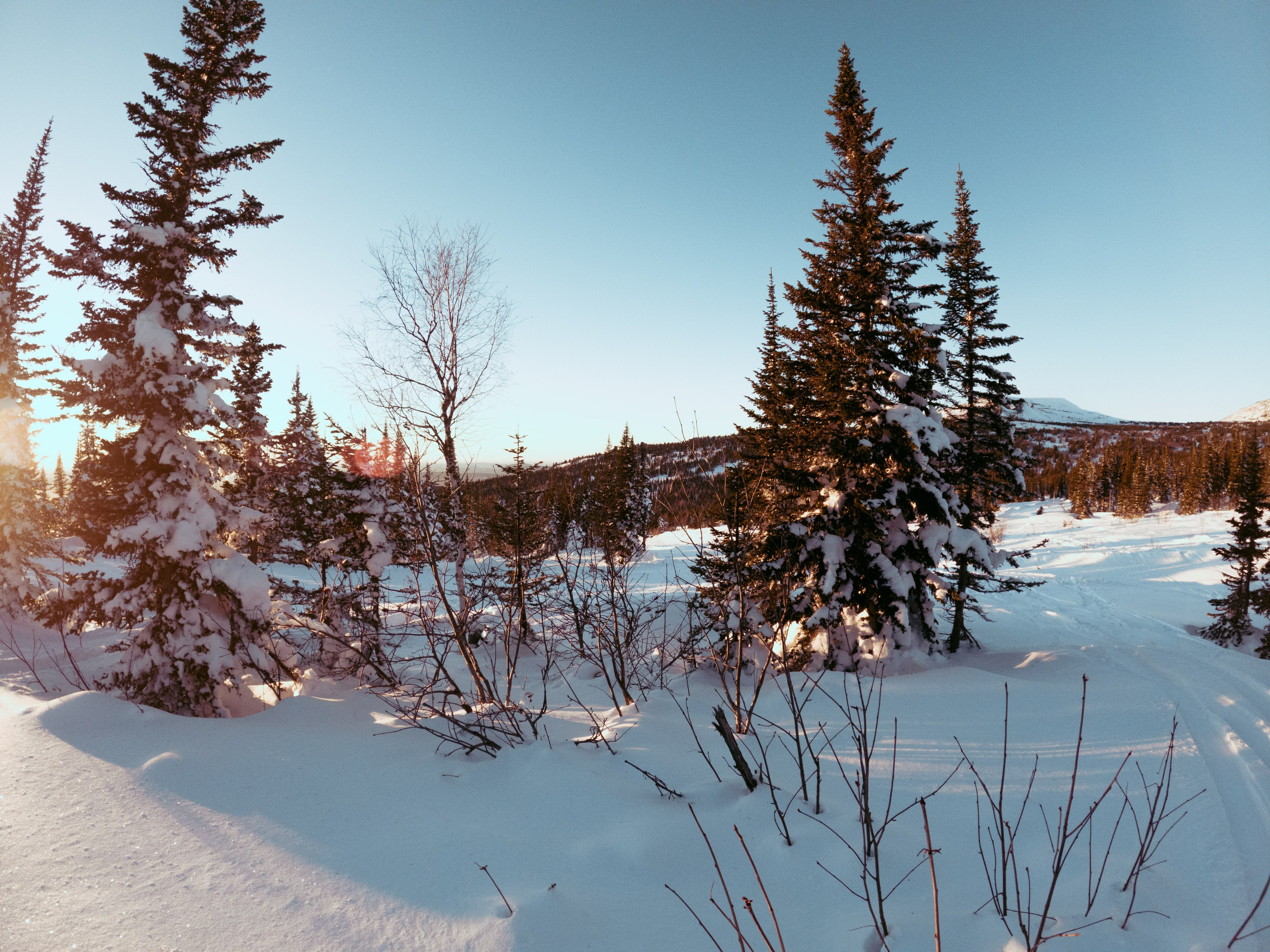 Sheregesh \ november 2024 \ GOPRO. Коммерческий Фотограф Виктор Фоменых