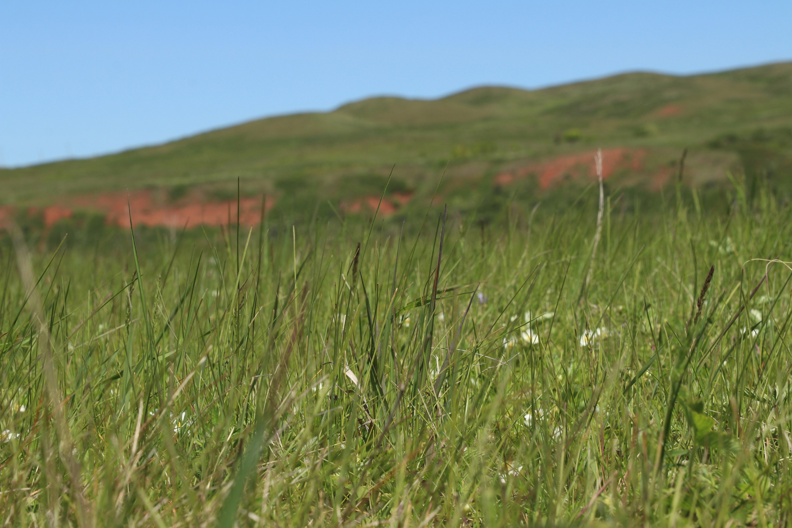 Велопоход Уфа — Мелеуз. Май 2024. Путешественник-фотограф из Санкт-Петербурга Татьяна Свистулина