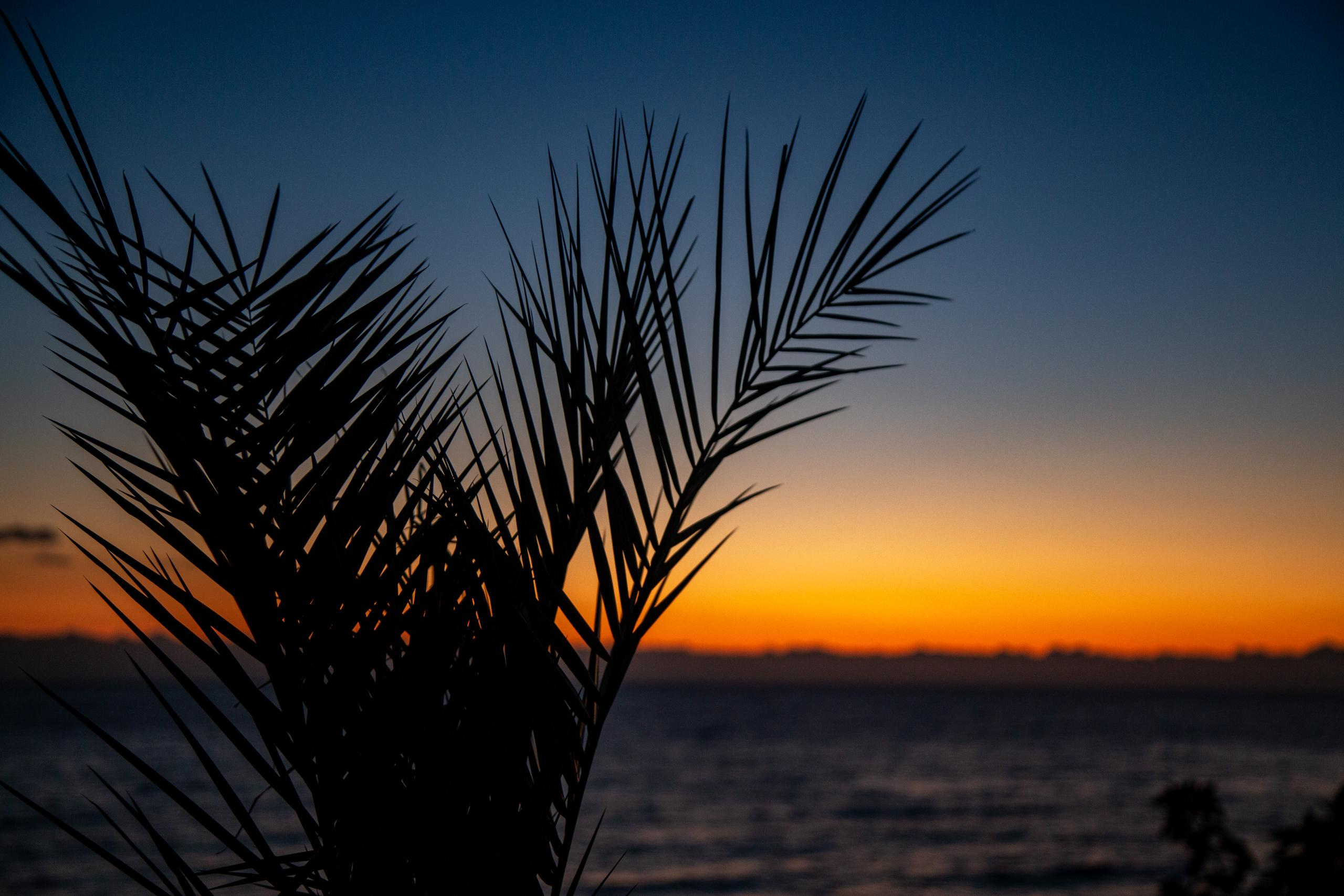 Аԥсны. Photographer Sonkina Tatiana (Tanya Ash)