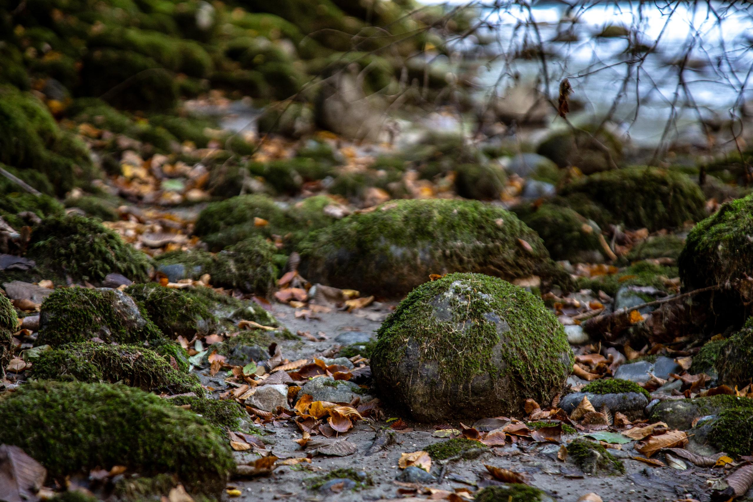 Аԥсны. Photographer Sonkina Tatiana (Tanya Ash)