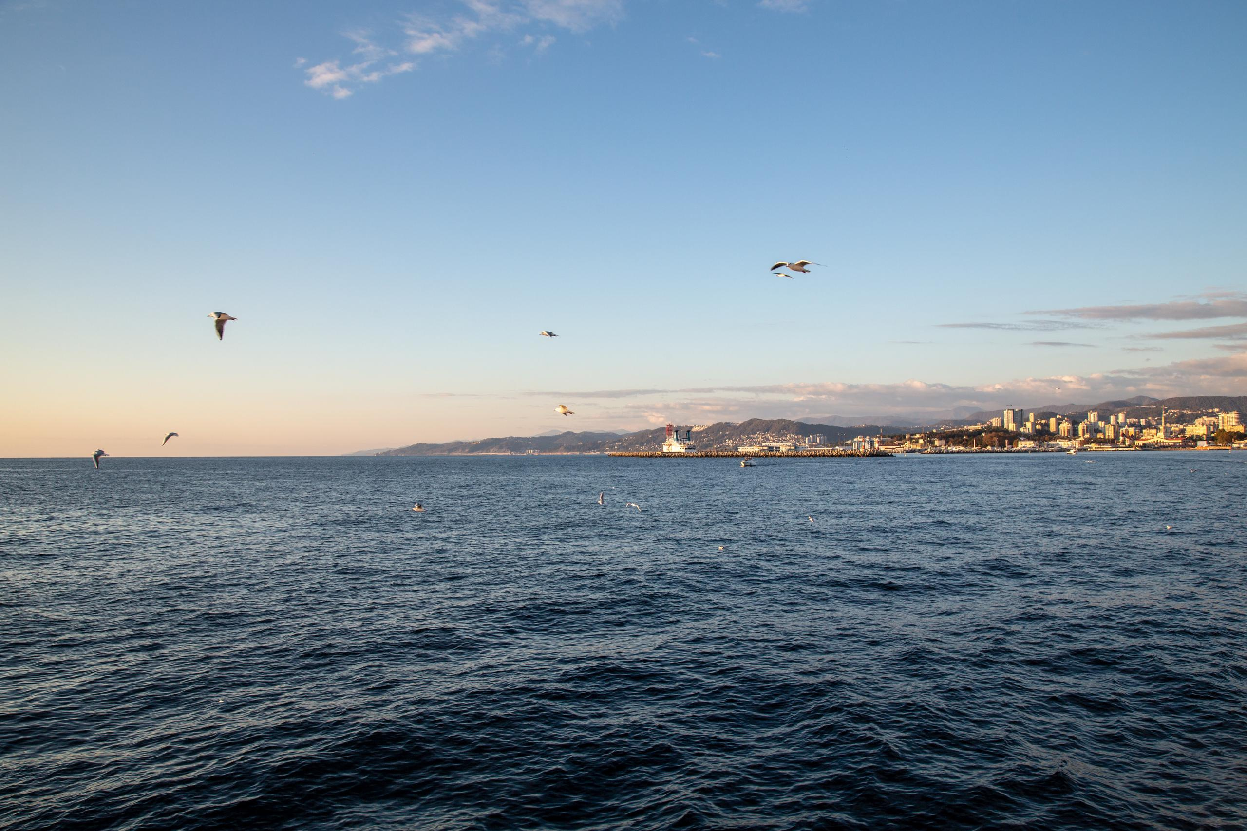 Сочи. Photographer Sonkina Tatiana (Tanya Ash)