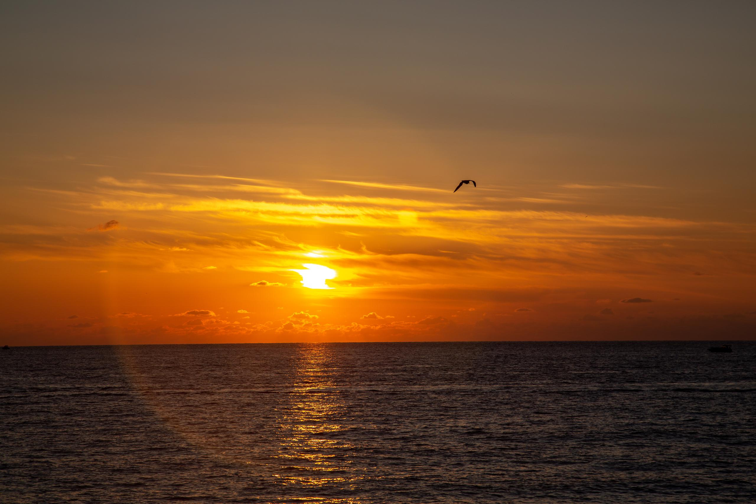 Сочи. Photographer Sonkina Tatiana (Tanya Ash)