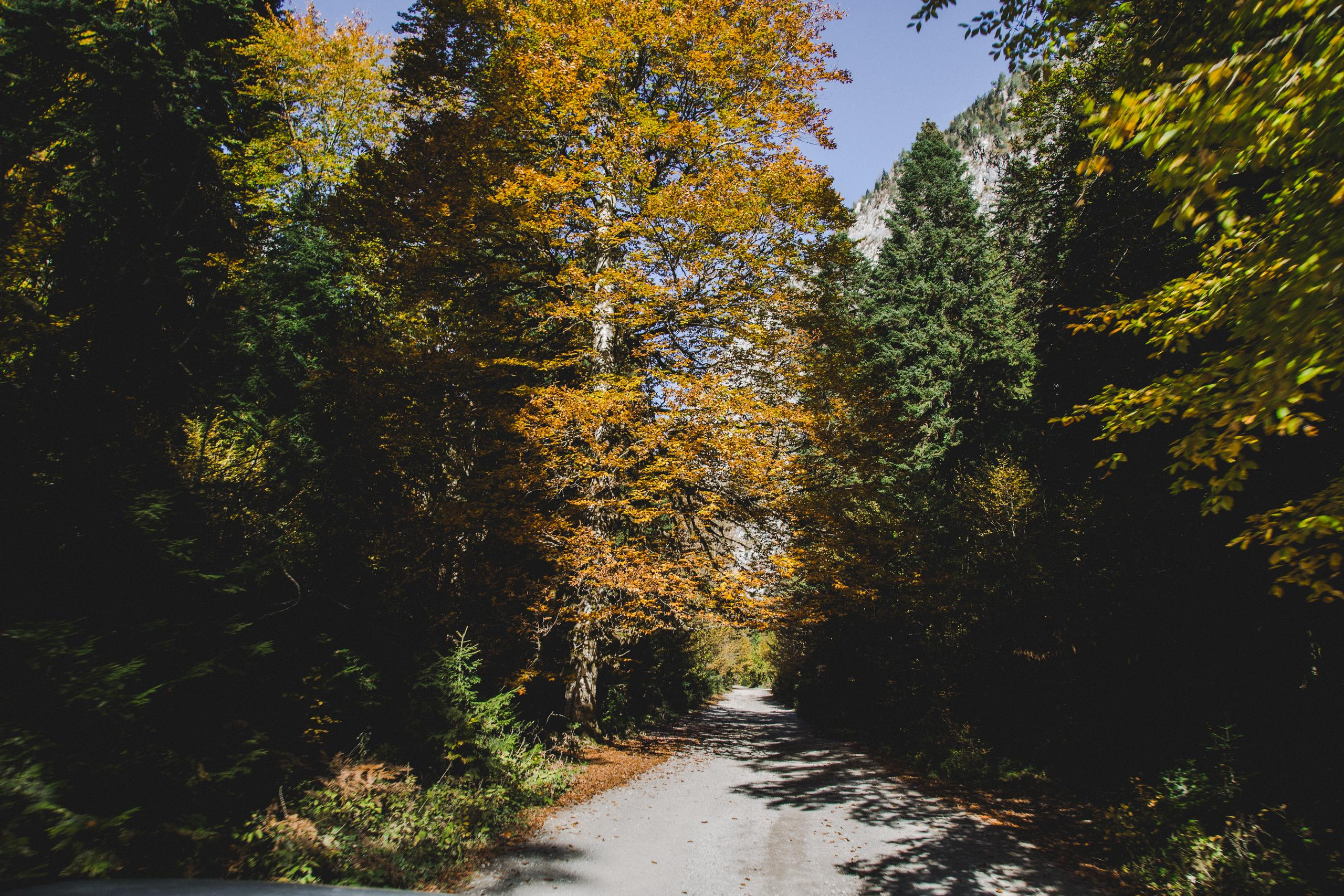 Аԥсны. Photographer Sonkina Tatiana (Tanya Ash)