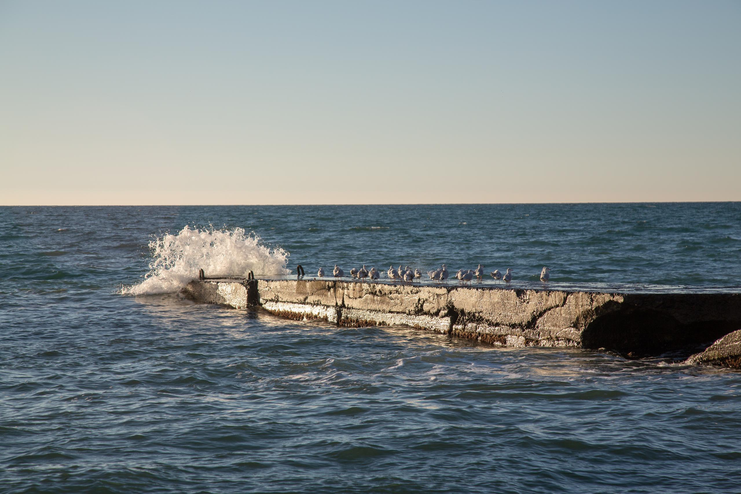 Адлер. Фотограф Сонкина Татьяна