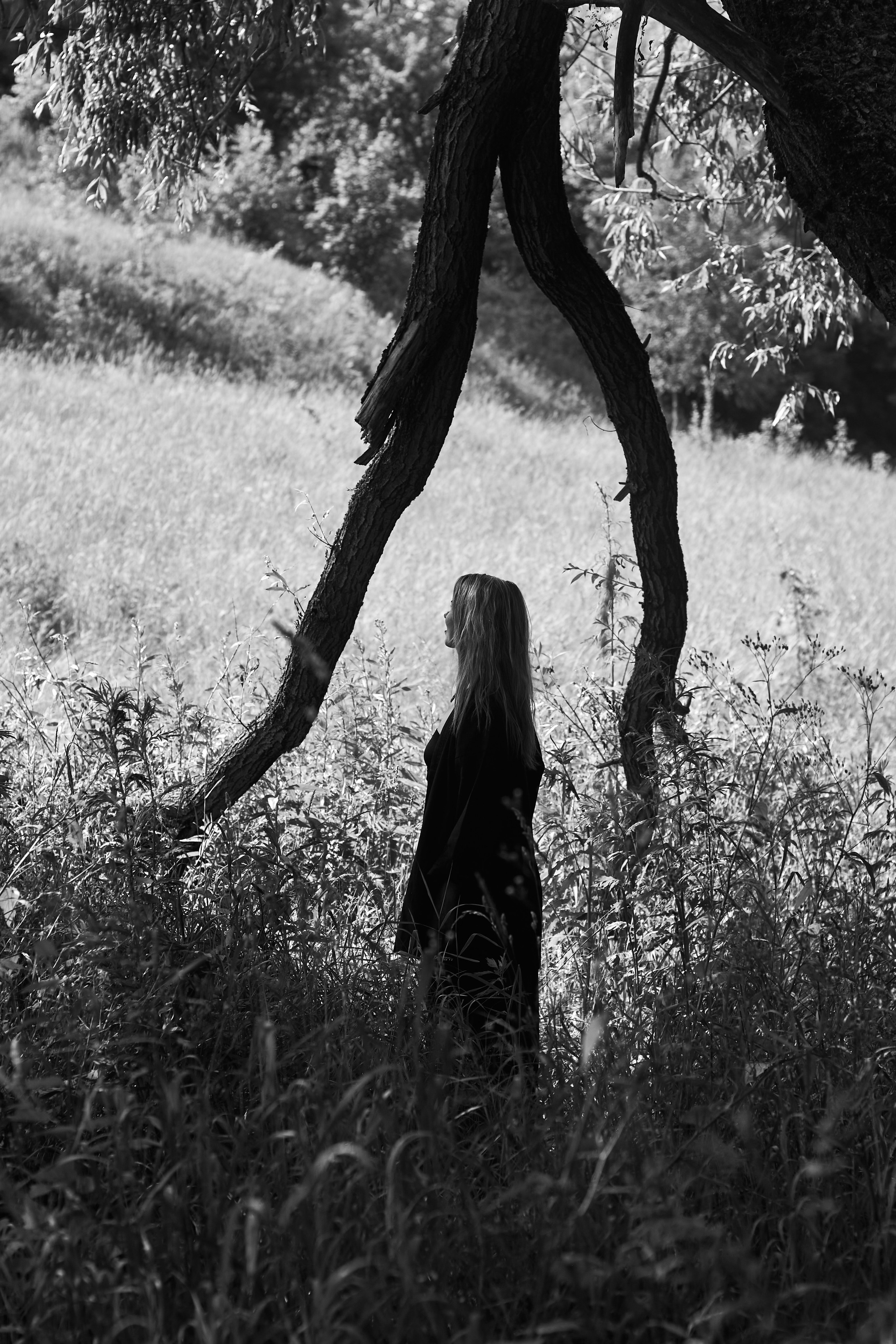 Фотографии. Savanna