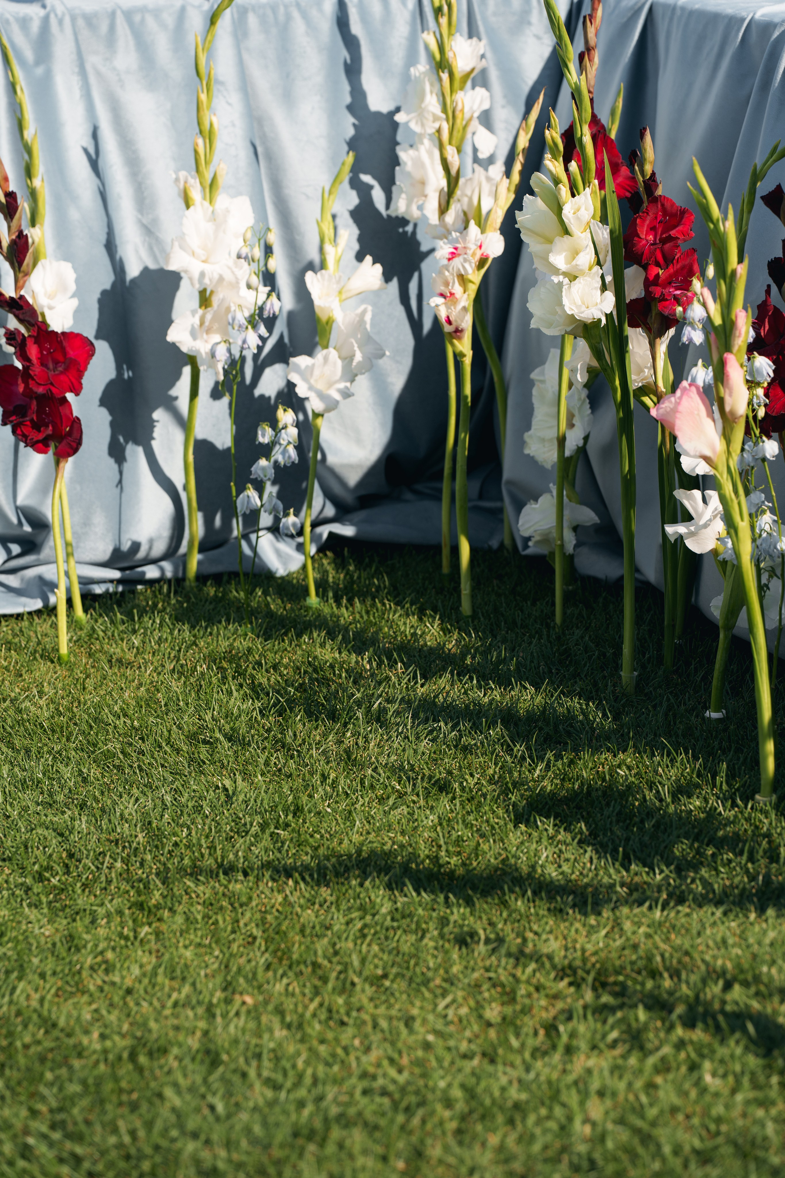 Держи в курсе (ДВК). Свадебный фотограф в Ростовe-на-Дону Анастасия Прутова