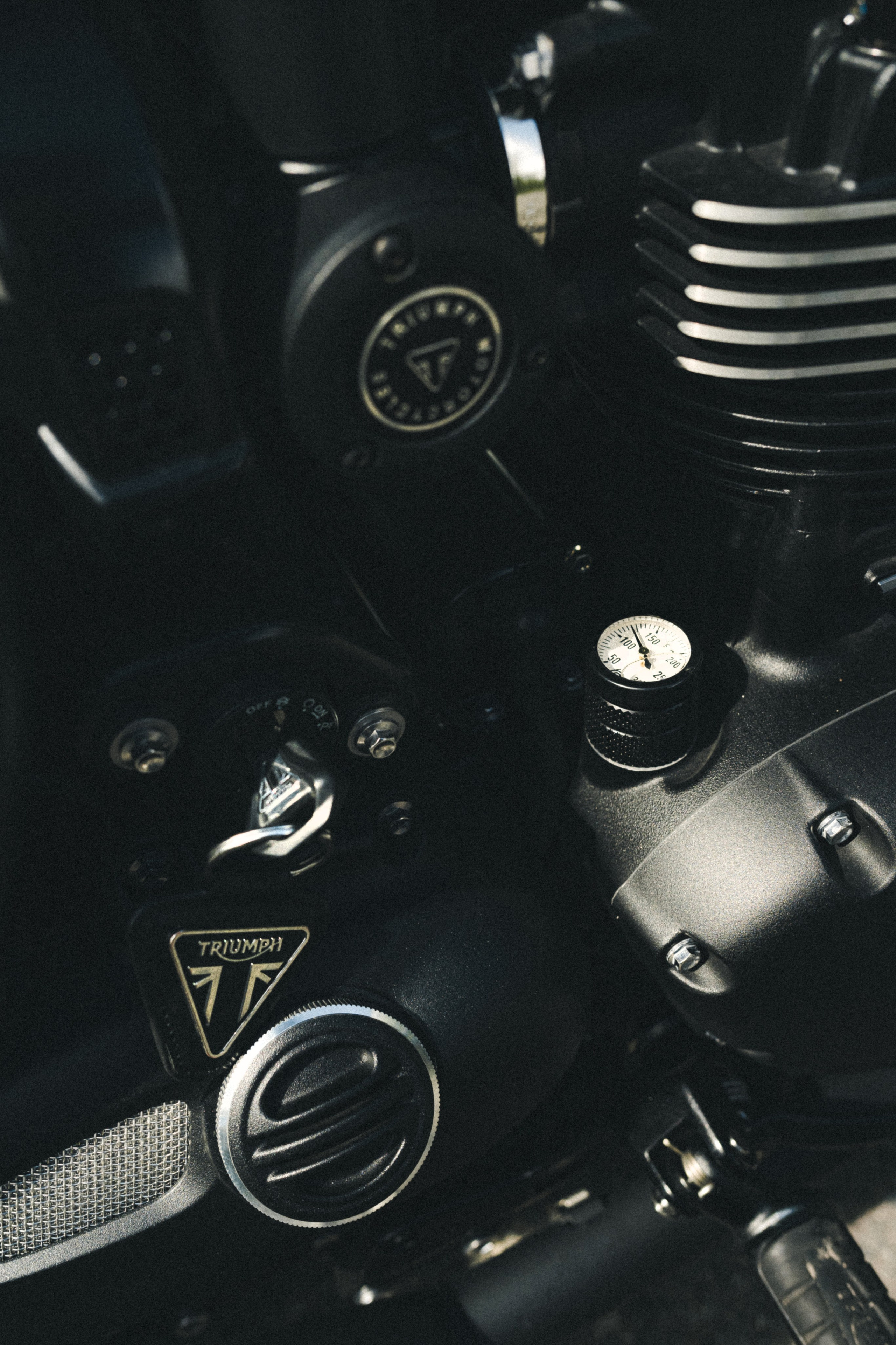 Портретная фотосессия с мотоциклом Triumph Bobber 1200. Фотограф Илья К. в Москве