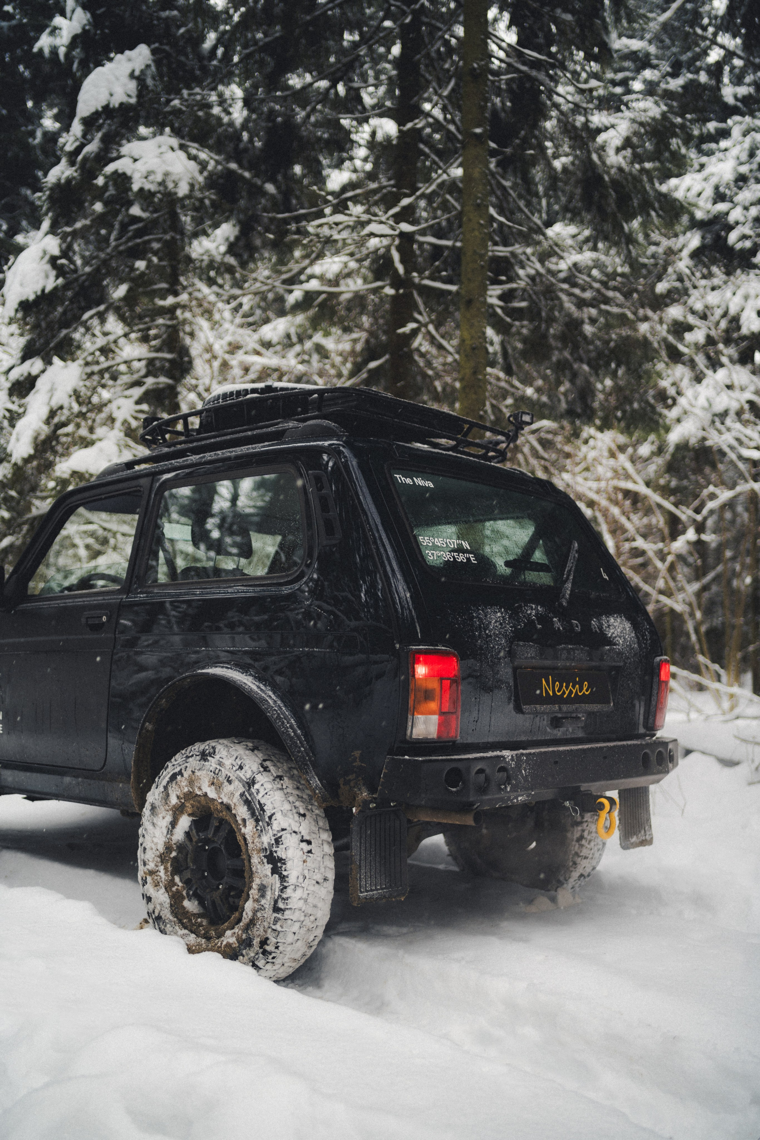 Niva Bronto (Nessie) x FAUNO. Фотограф Илья К. в Москве