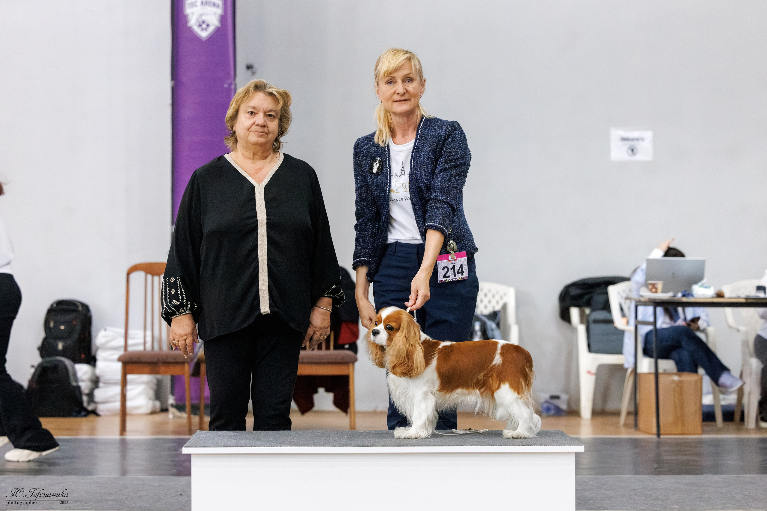 Ереван 2х CACIB 29-30.04.2025. Фотограф-анималист Юлия Германика