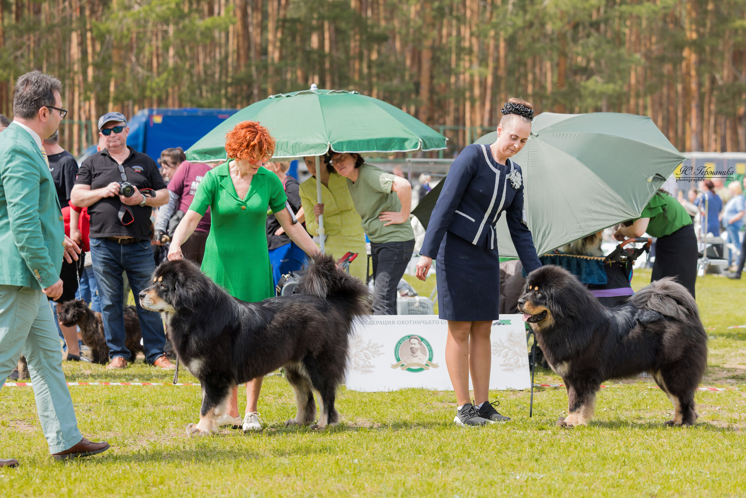 Суздаль(Владимир)17-18.05.2025. Фотограф-анималист Юлия Германика