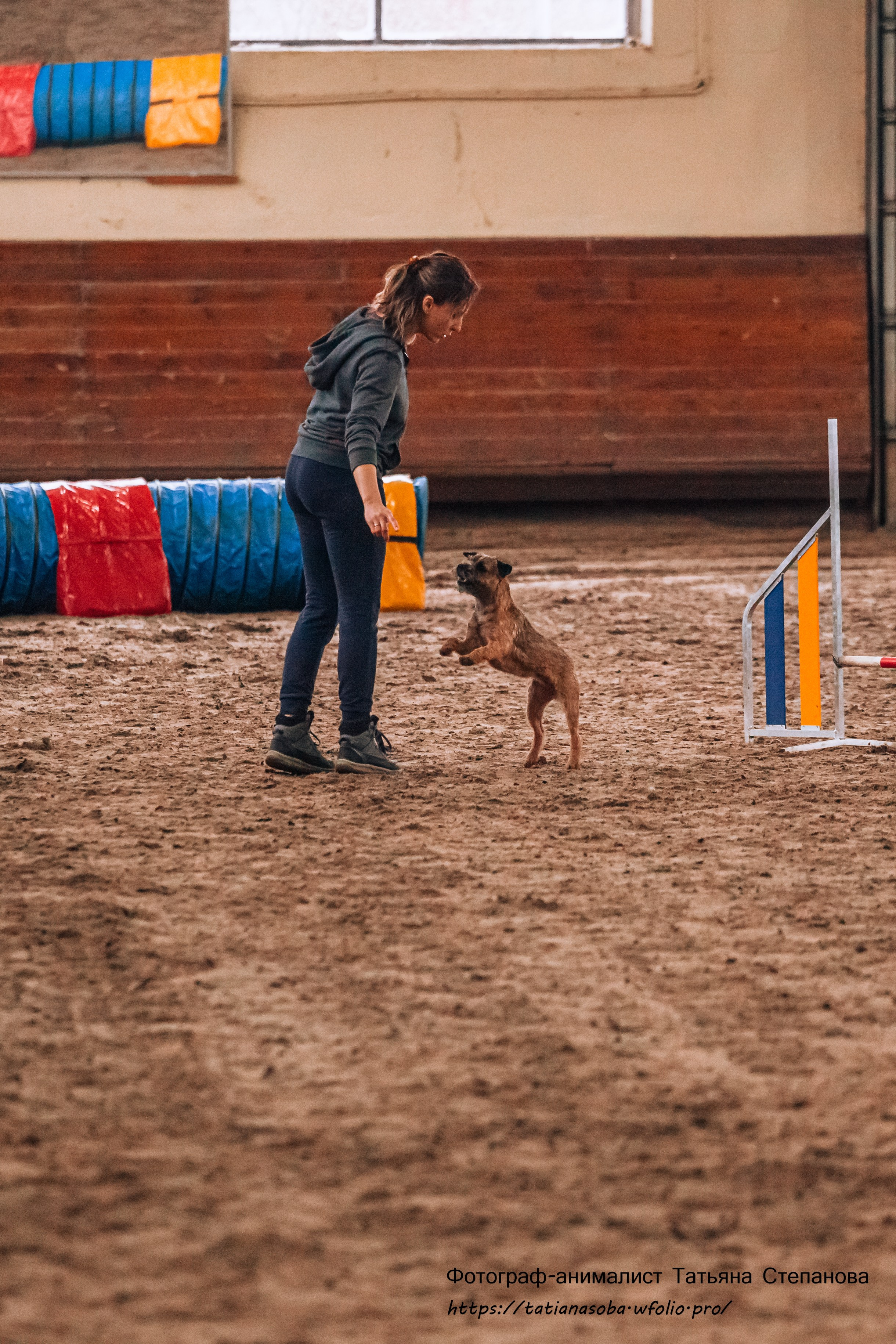 Соревнования по Аджилити 25.02.2024. Фотограф-анималист Татьяна Степанова