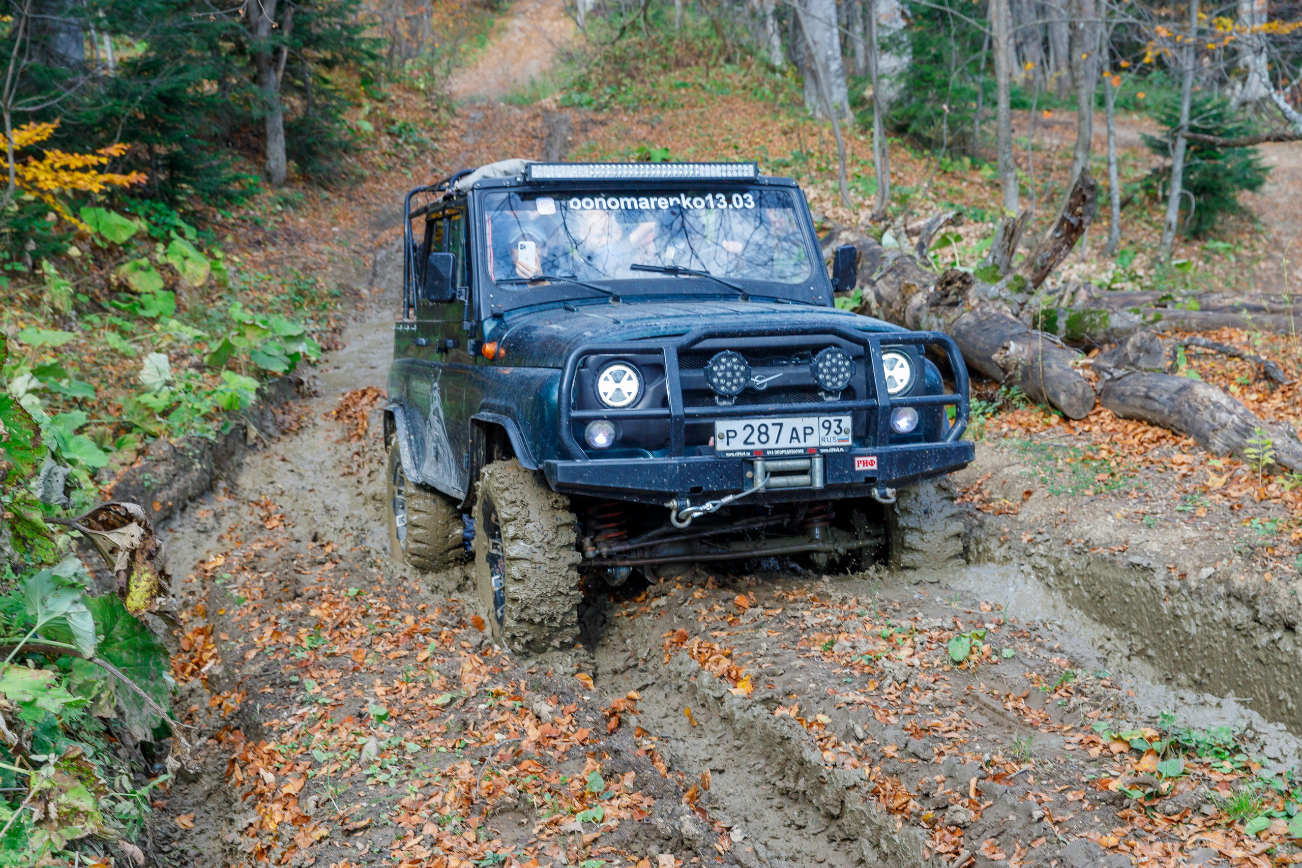 Путешествия