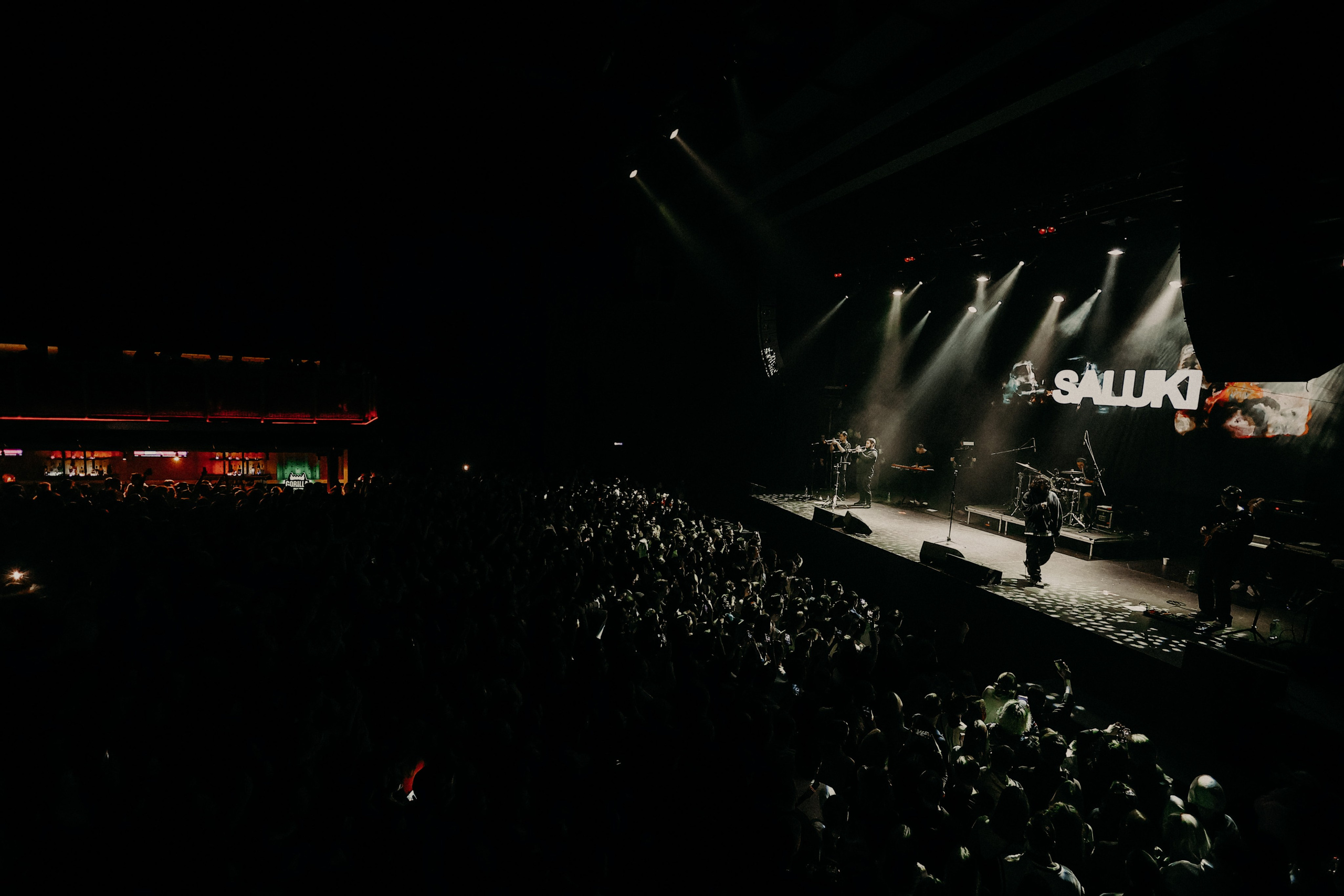 САЛУКИ @1930MOSCOW