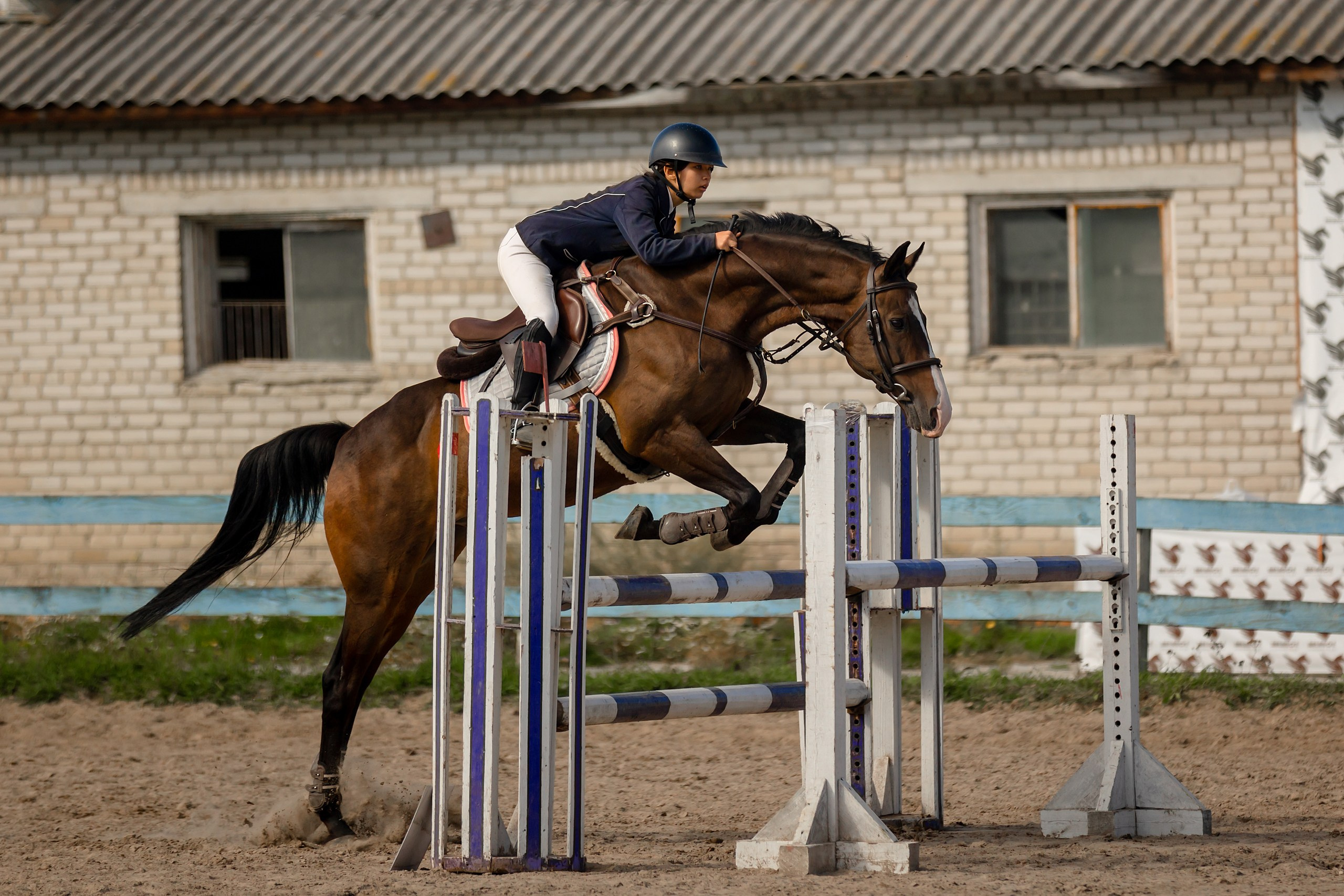Соревнования по конному спорту. Конный фотограф Валынкина Лера