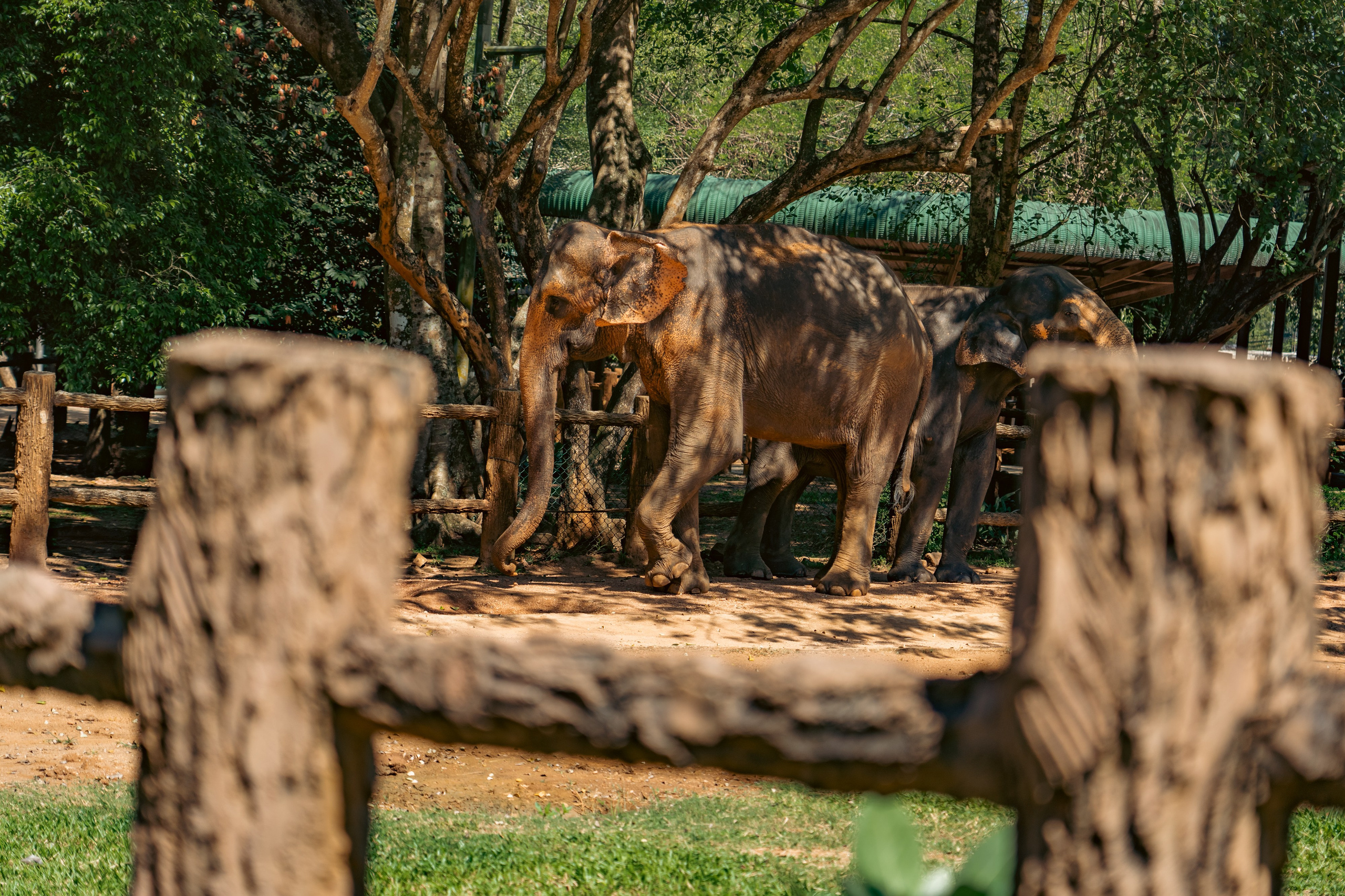 Promo content shooting for Ceylon Forward Tours