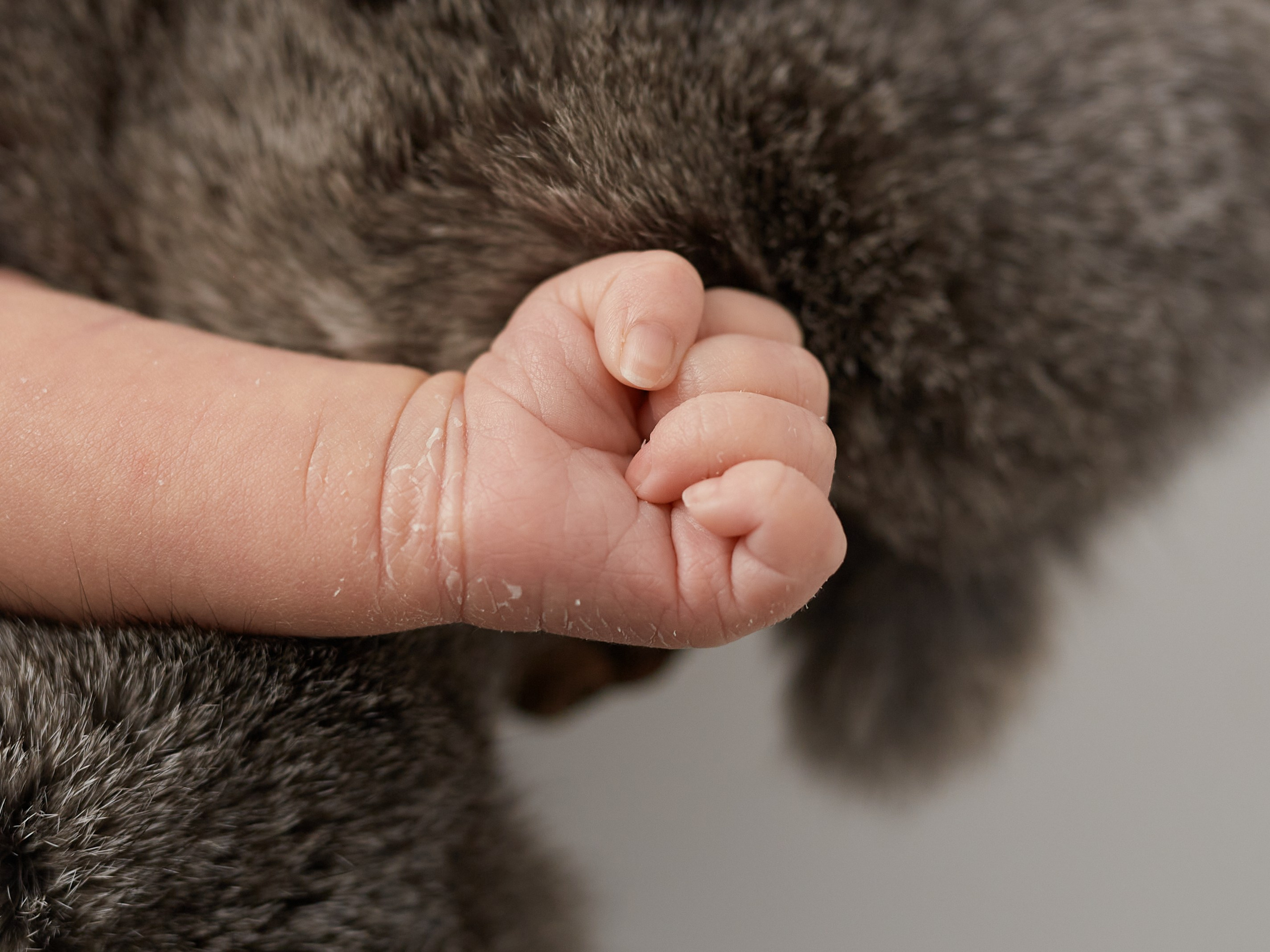 Цены NEWBORN с примерами. Фотограф в Перми Anastasia Aone