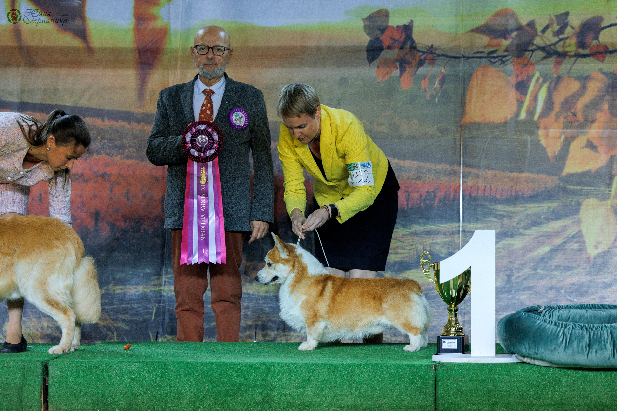 Грузия,Телави 2хCACIB 19-20.10.2024. Фотограф-анималист Юлия Германика