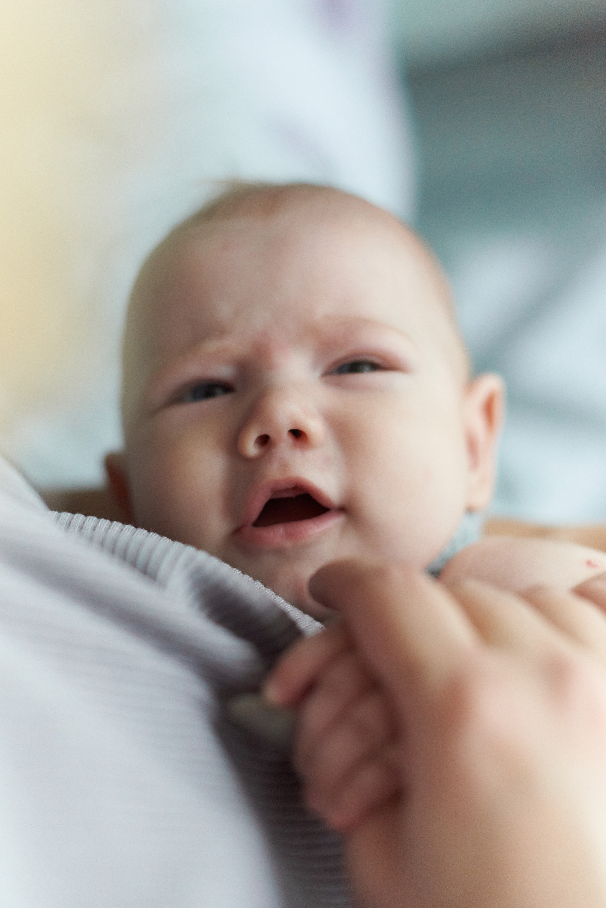 Фотосъемка. Когда все дома!. Семейный фотограф в Барнауле, Горный Алтай, Заринск, Алейск
