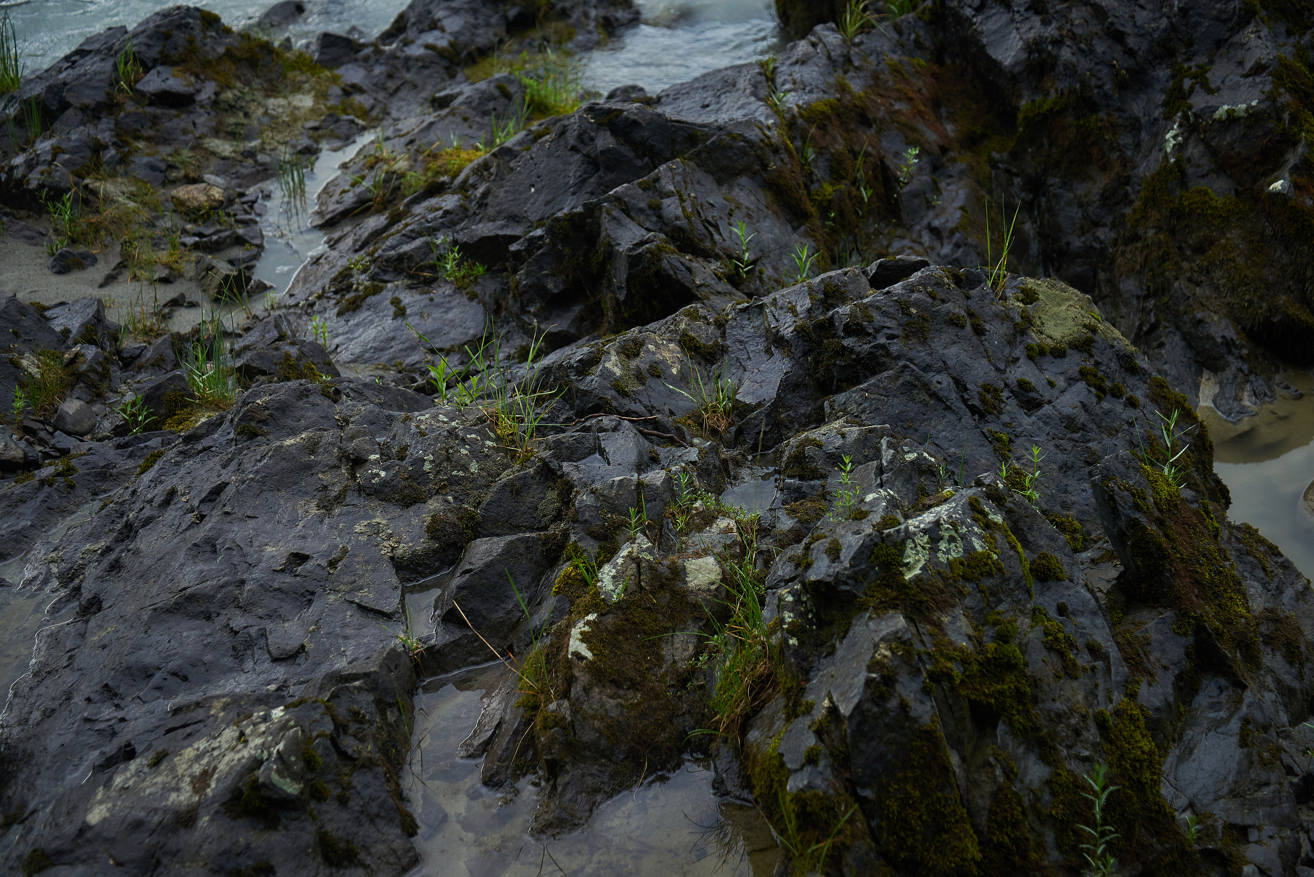 Фотосъемка для Натальи. Семейный фотограф в Барнауле, Горный Алтай, Заринск, Алейск