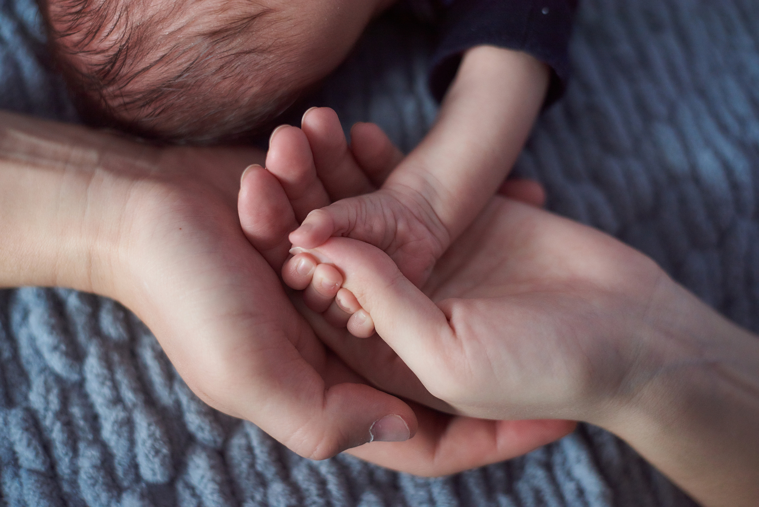 Фотосъемка. Дома. Семейный фотограф в Барнауле, Горный Алтай, Заринск, Алейск