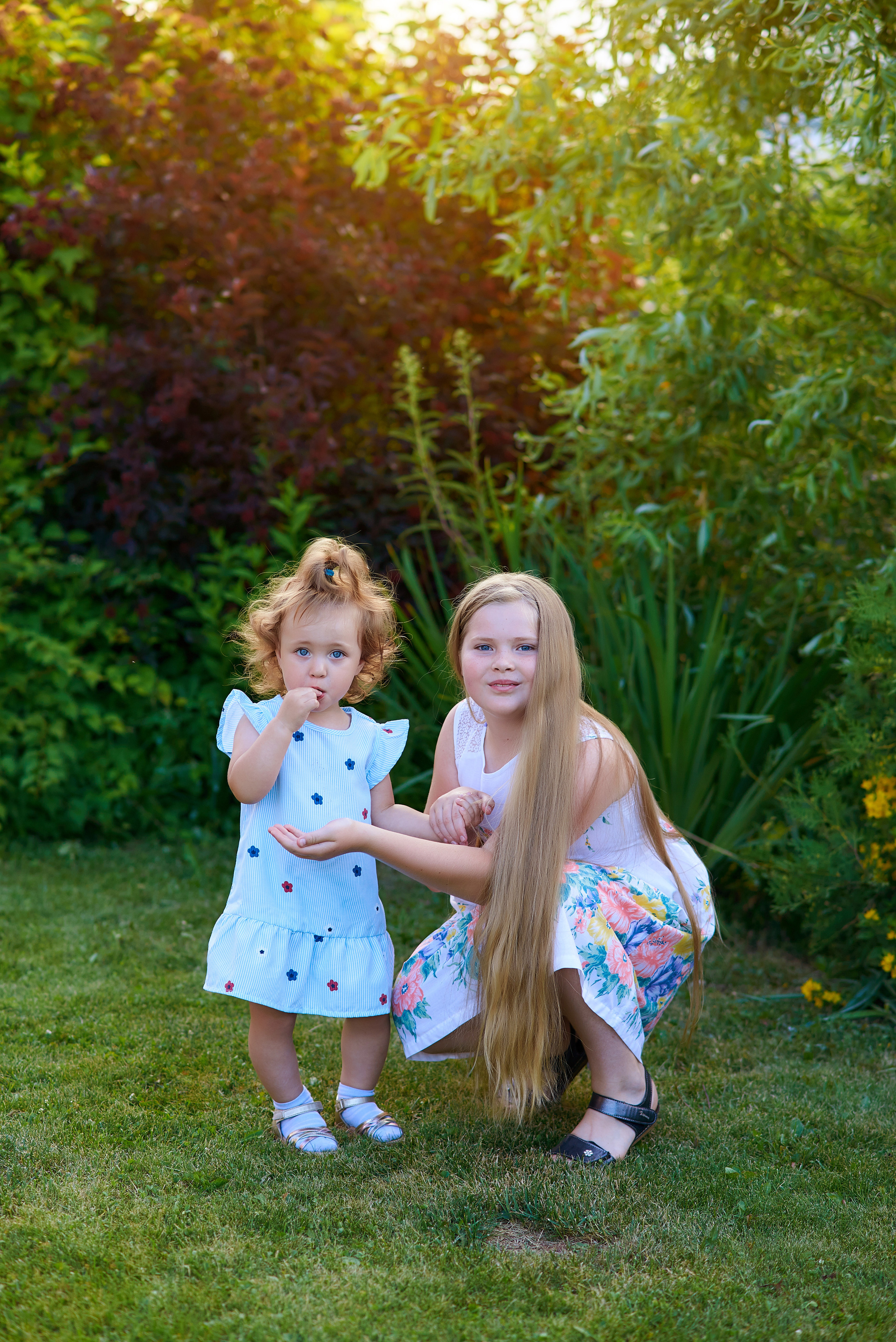 Фотосъемка. Вся семья в сборе. Семейный фотограф в Барнауле, Горный Алтай, Заринск, Алейск