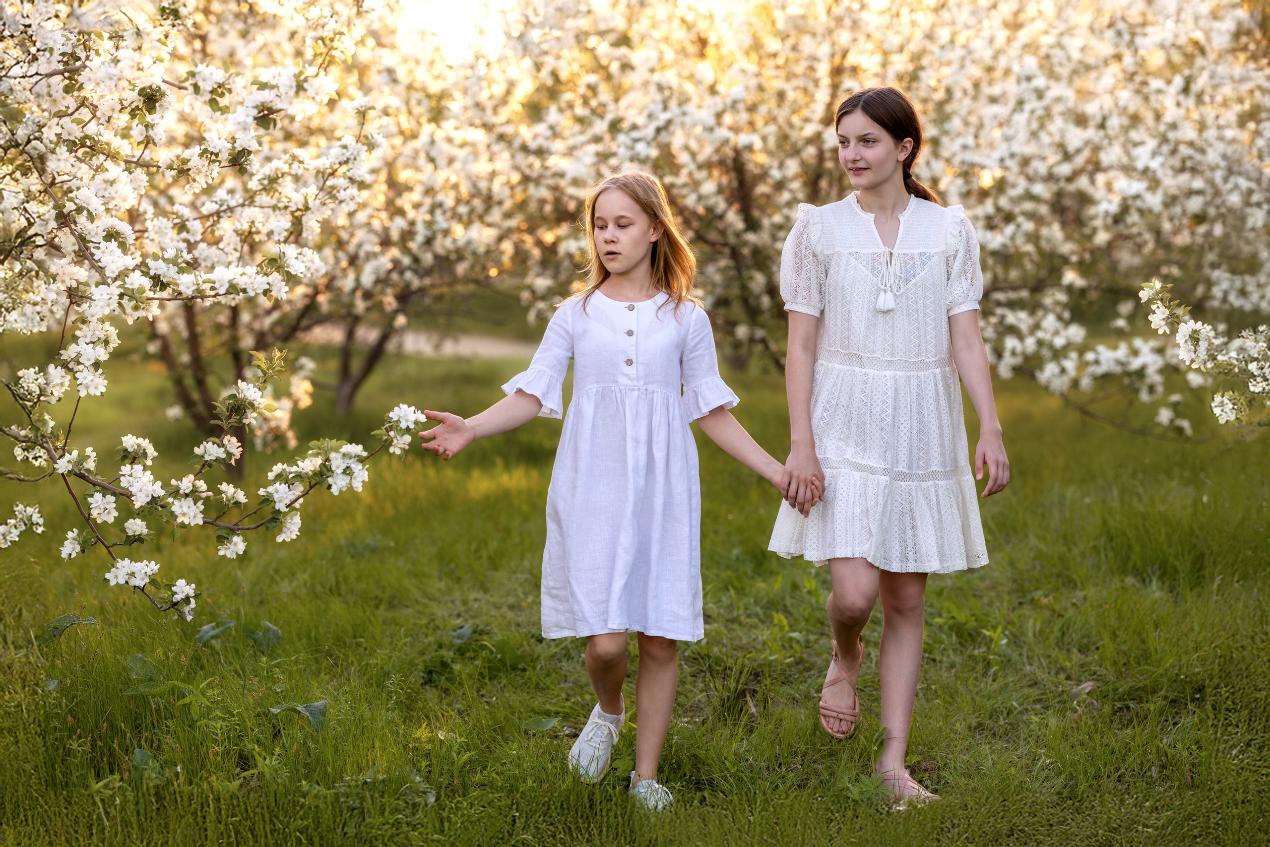 Яблоневый сад. Семейный и детский фотограф в Красноярске, Дивногорцева Светлана