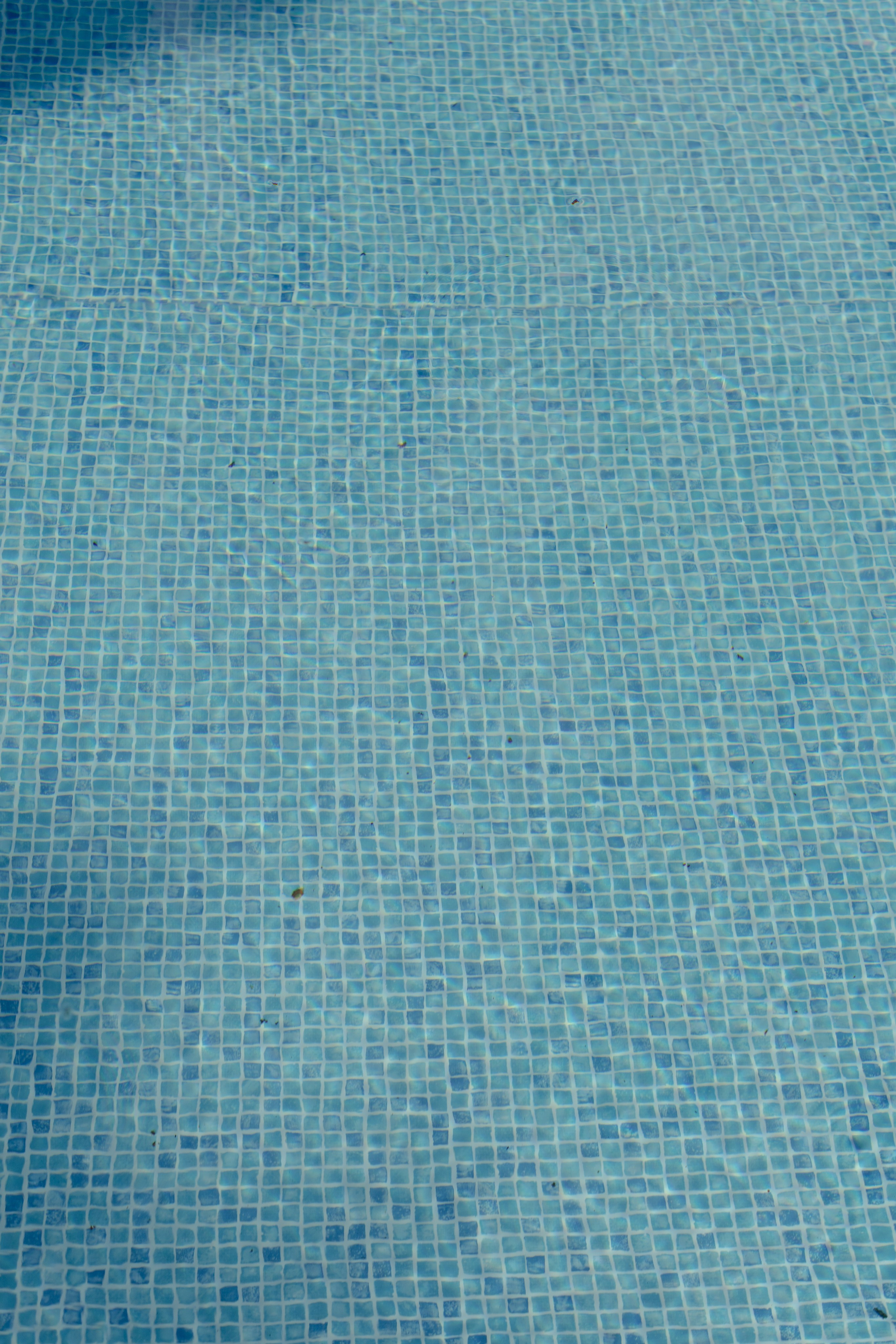 Виталий и Полина: свадьба загородом, где дождь не помеха. @dariazphoto свадебный фотограф