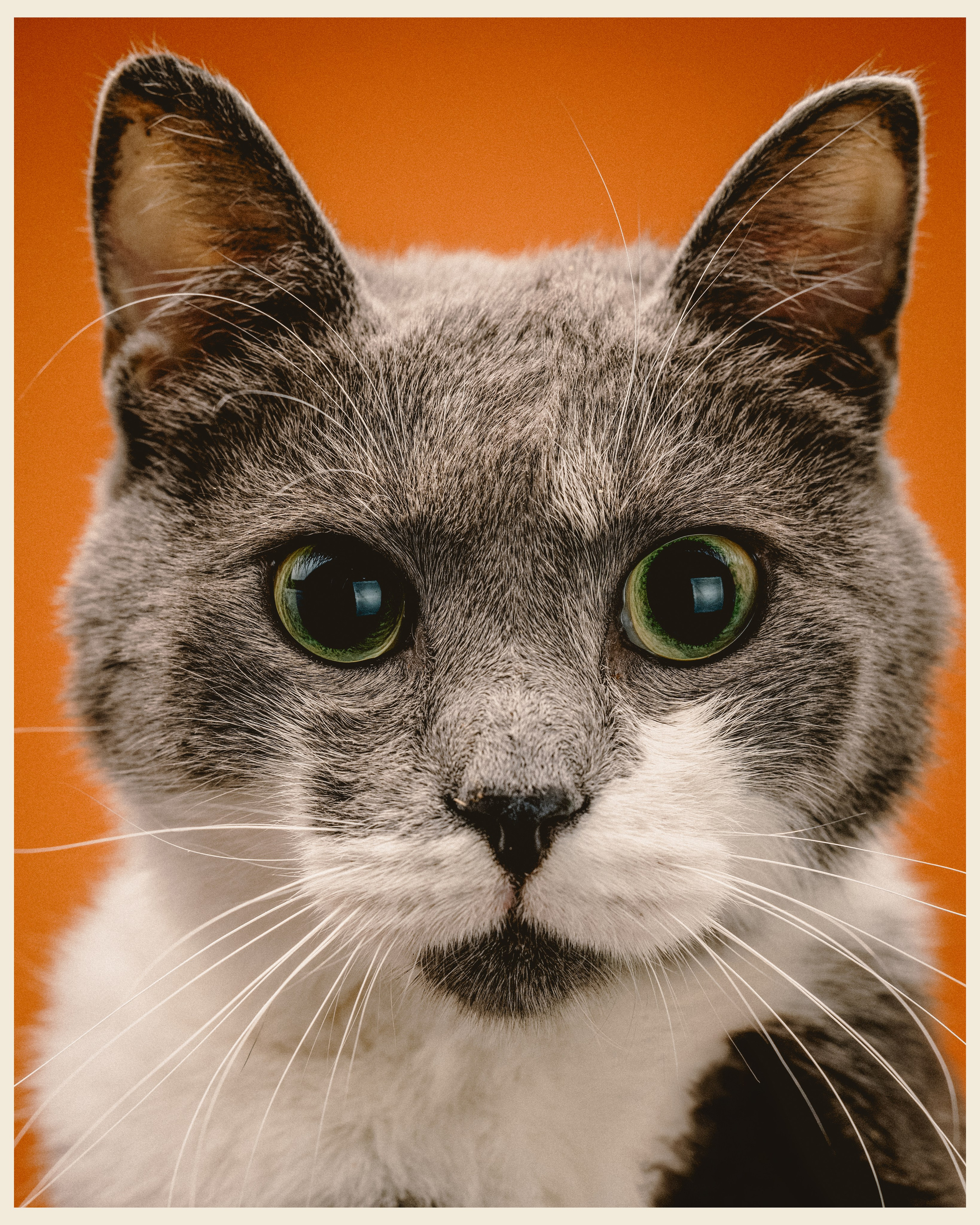 OM x VANO. Ivan Petrov photographer