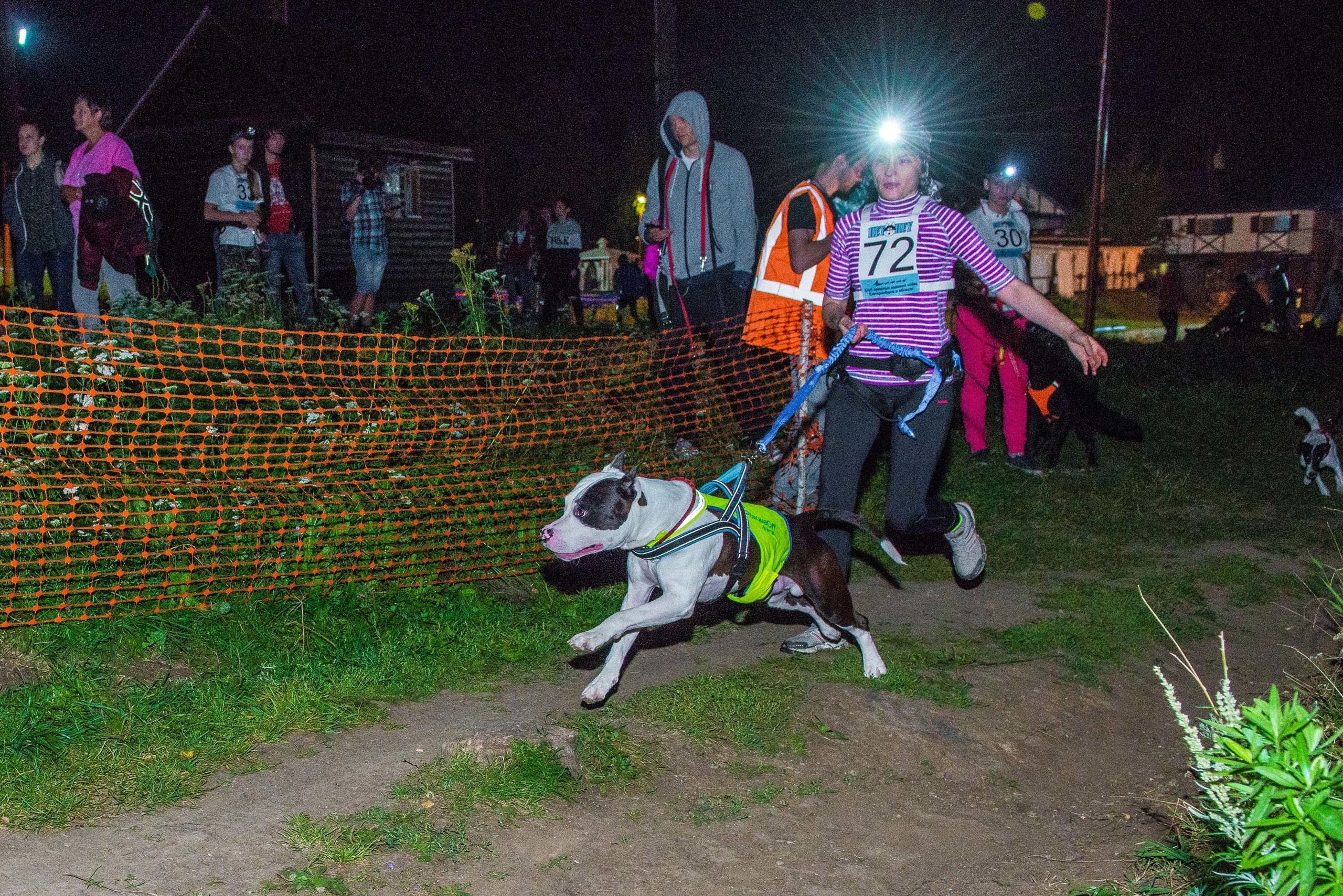 Дог-фестиваль 02.09.2017 Уктус Ночной след. Свадебный фотограф на Урале Виктор Соколов