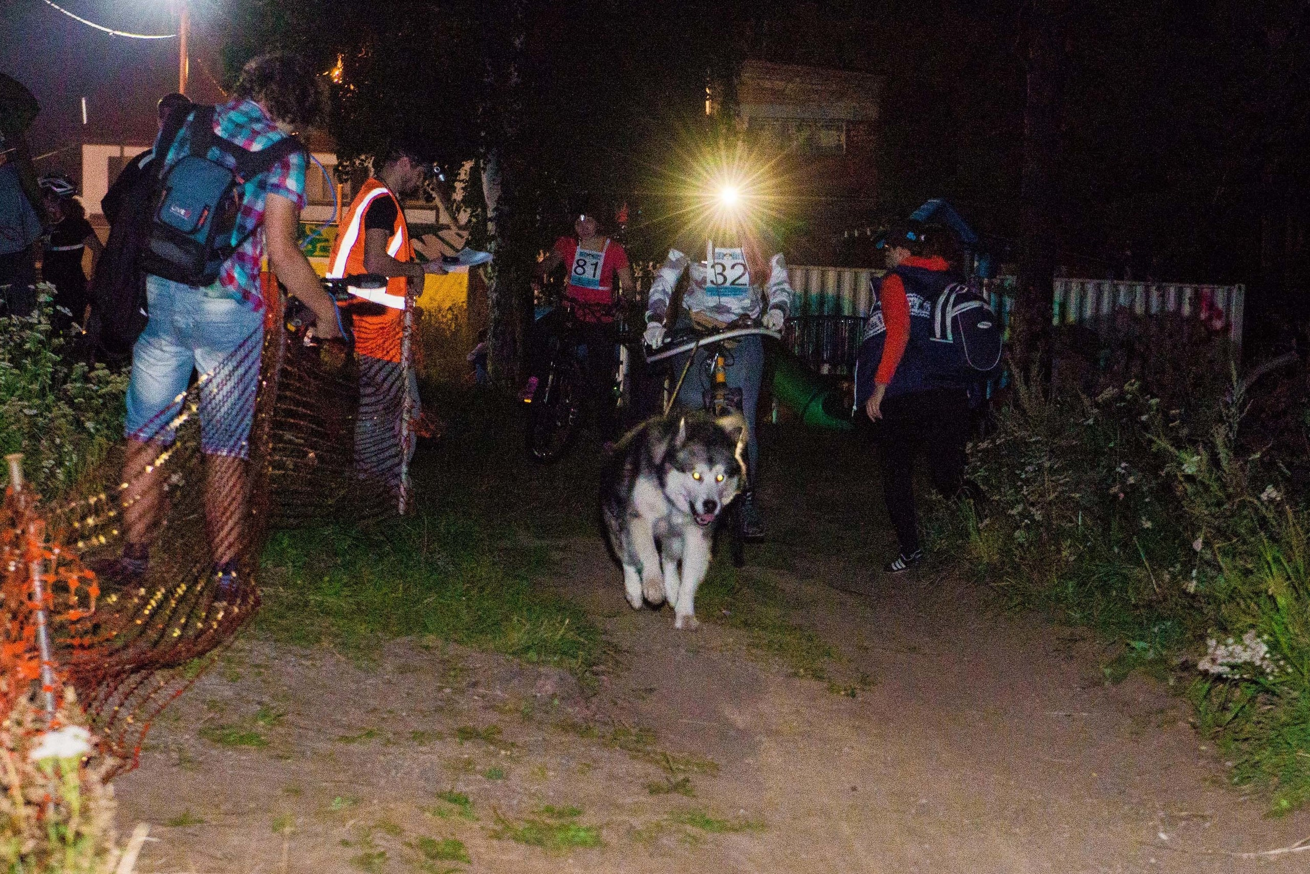 Дог-фестиваль 02.09.2017 Уктус Ночной след. Свадебный фотограф на Урале Виктор Соколов