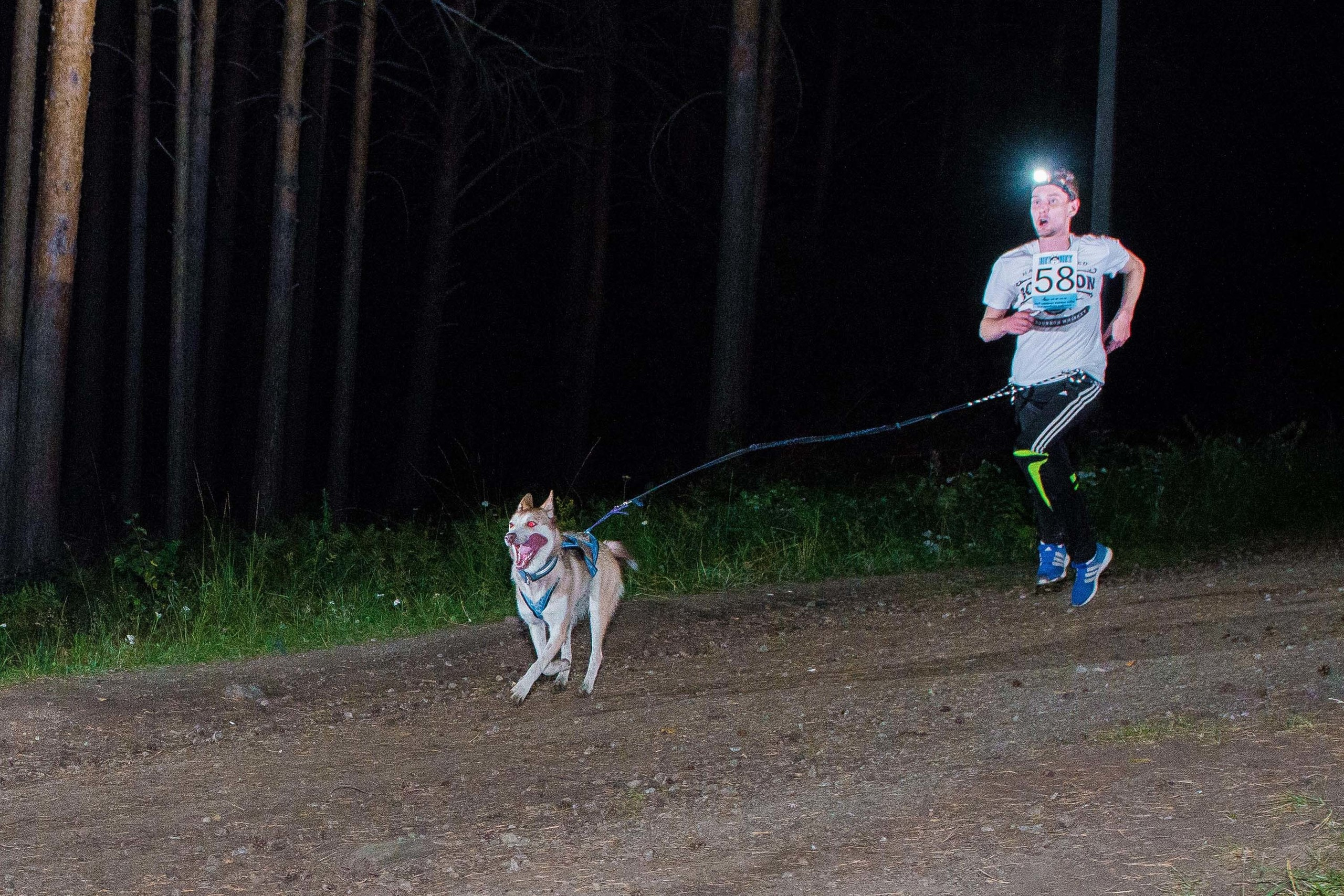 Дог-фестиваль 02.09.2017 Уктус Ночной след. Свадебный фотограф на Урале Виктор Соколов