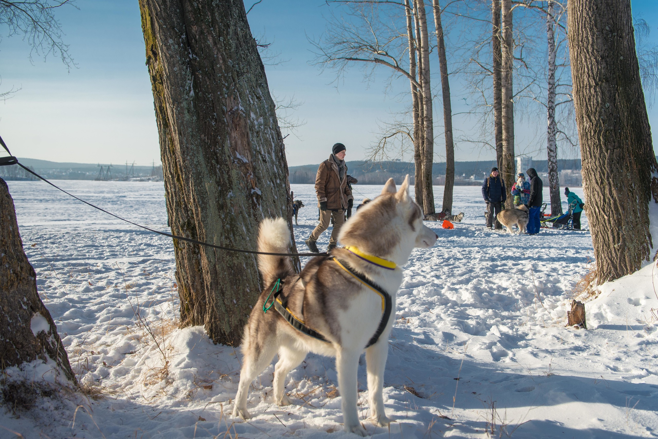 10 лет клубу Хэй-Хэй. Свадебный фотограф на Урале Виктор Соколов