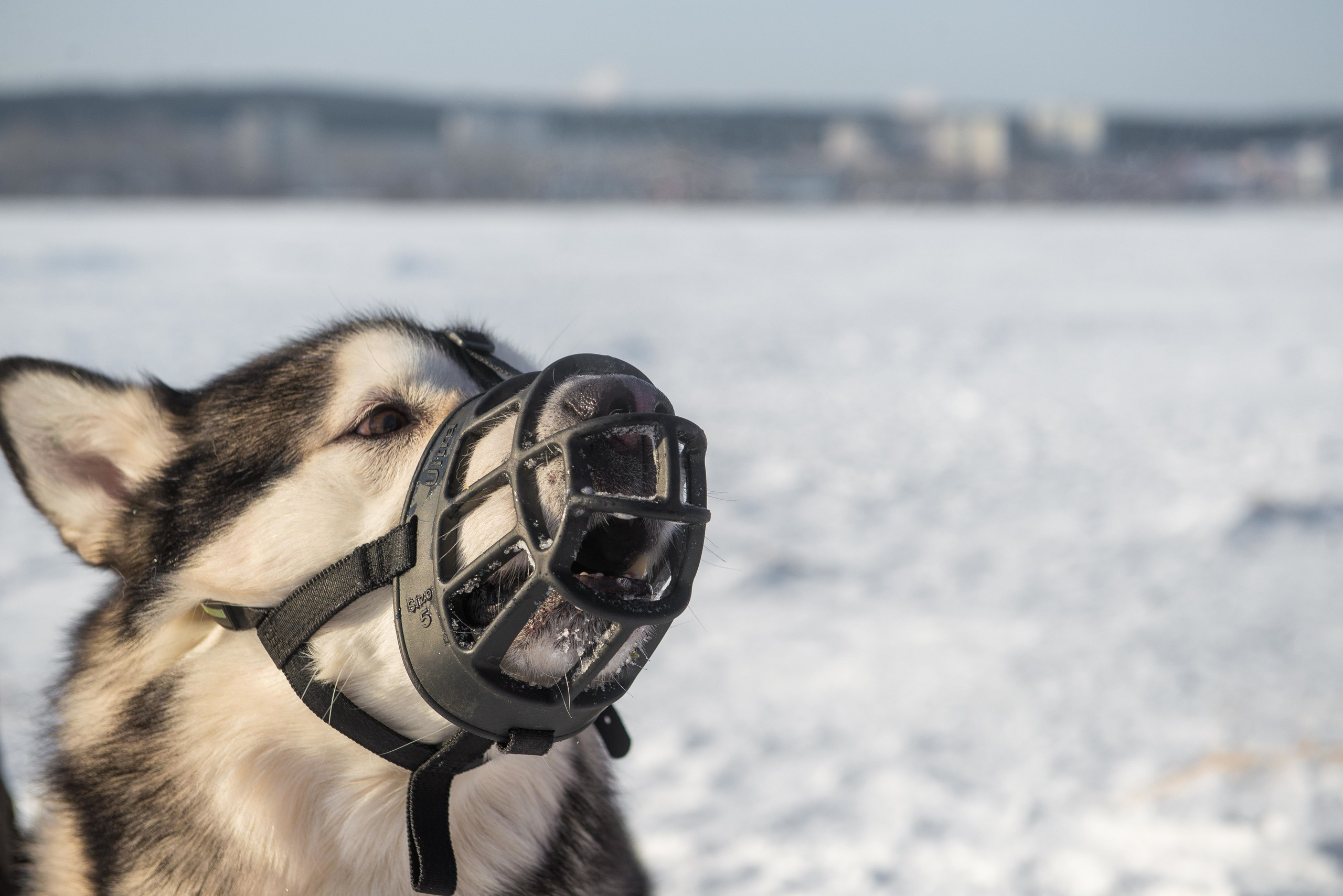 10 лет клубу Хэй-Хэй. Свадебный фотограф на Урале Виктор Соколов