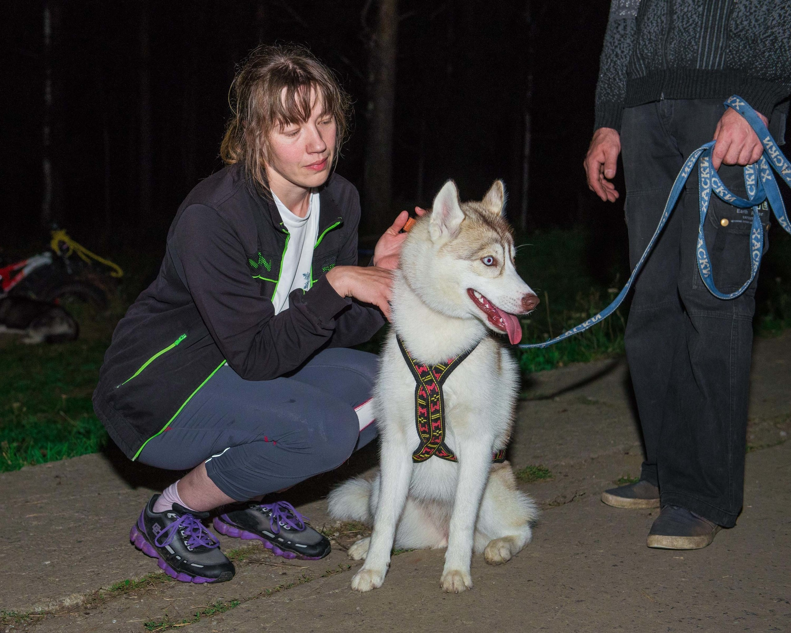 Дог-фестиваль 02.09.2017 Уктус Ночной след. Свадебный фотограф на Урале Виктор Соколов